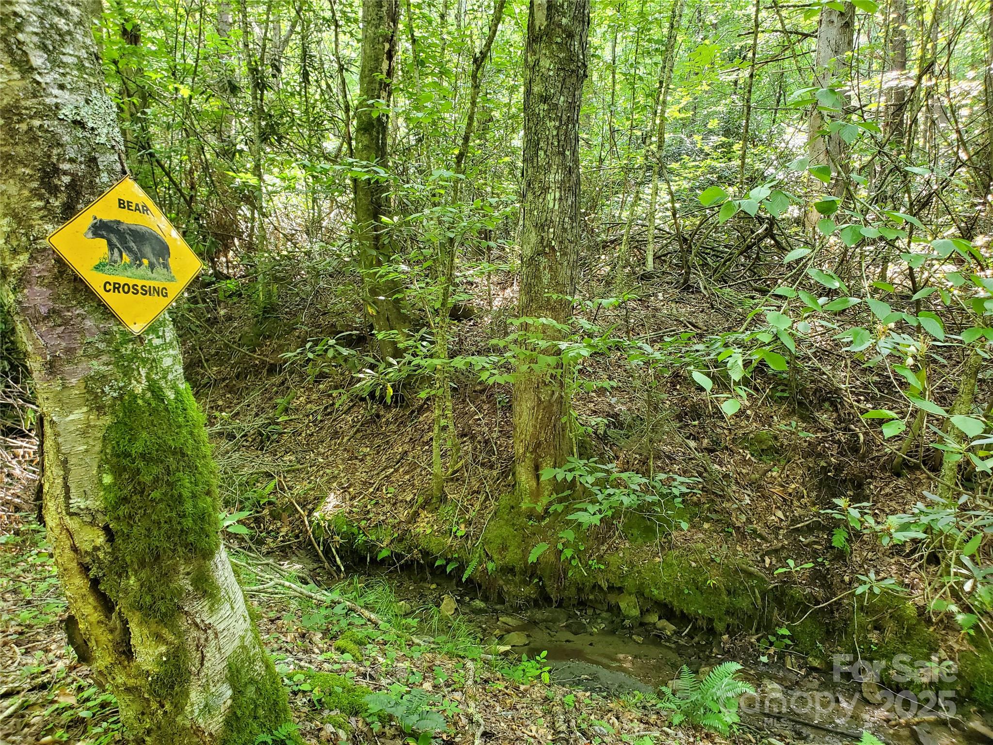 5023 Elk Park Highway Property Photo 45