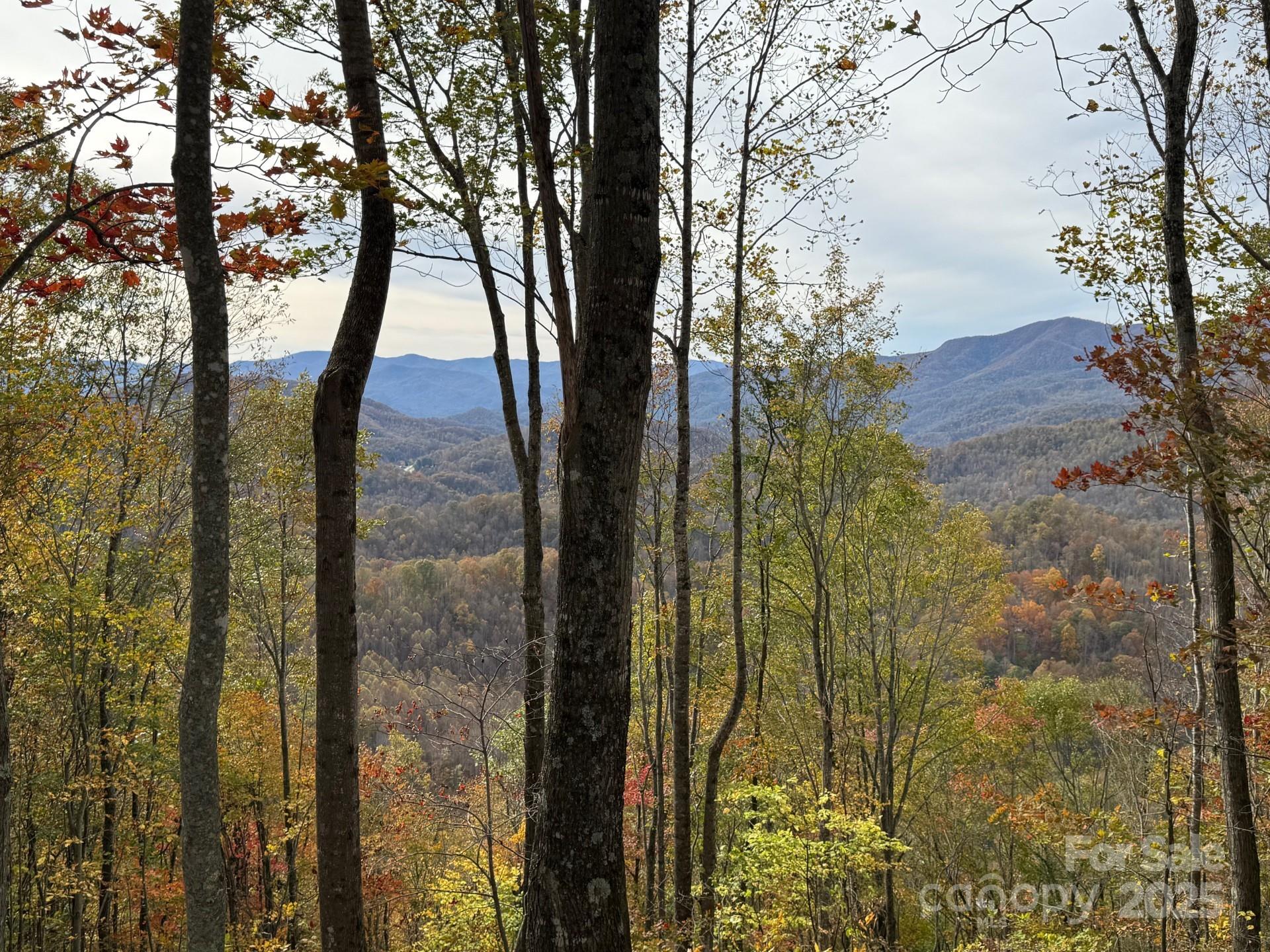 223 Flying Dutchman Road Property Photo 1