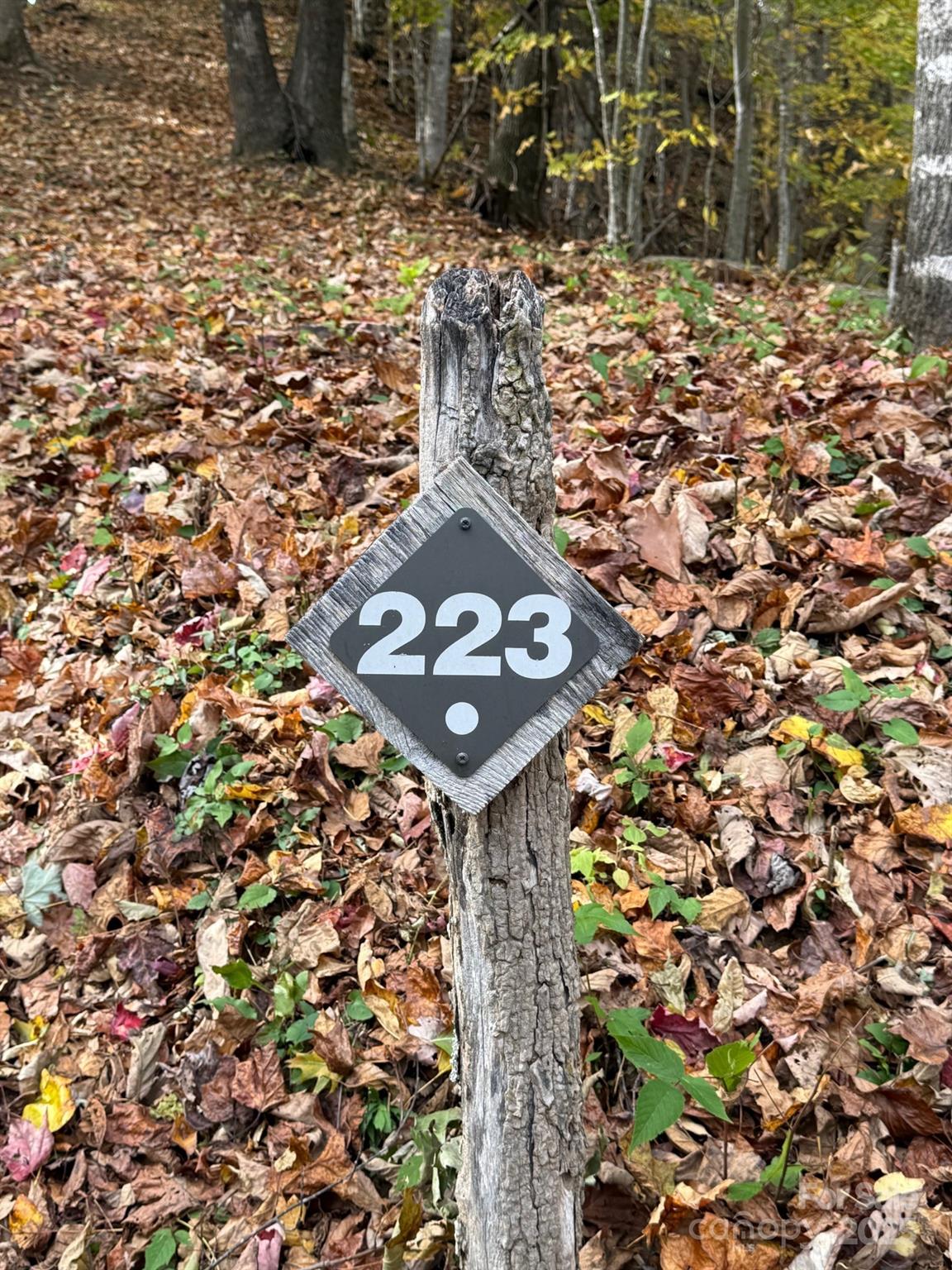 223 Flying Dutchman Road Property Photo 3