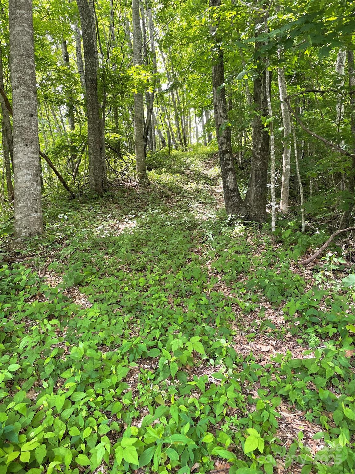 223 Flying Dutchman Road Property Photo 6