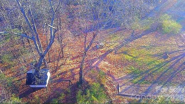 138 Rash Road Property Photo 4