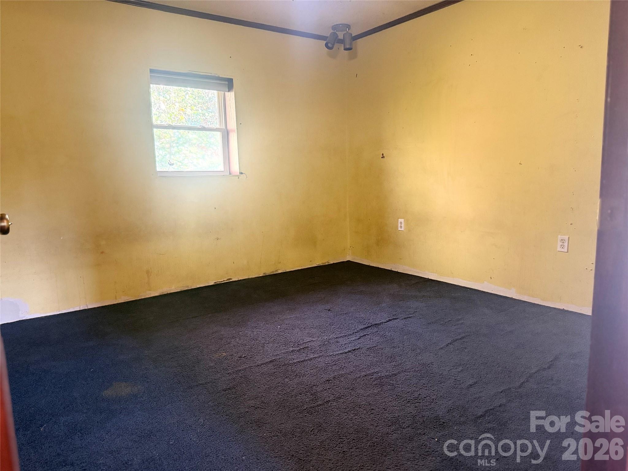 138 Rash Road Property Photo 12