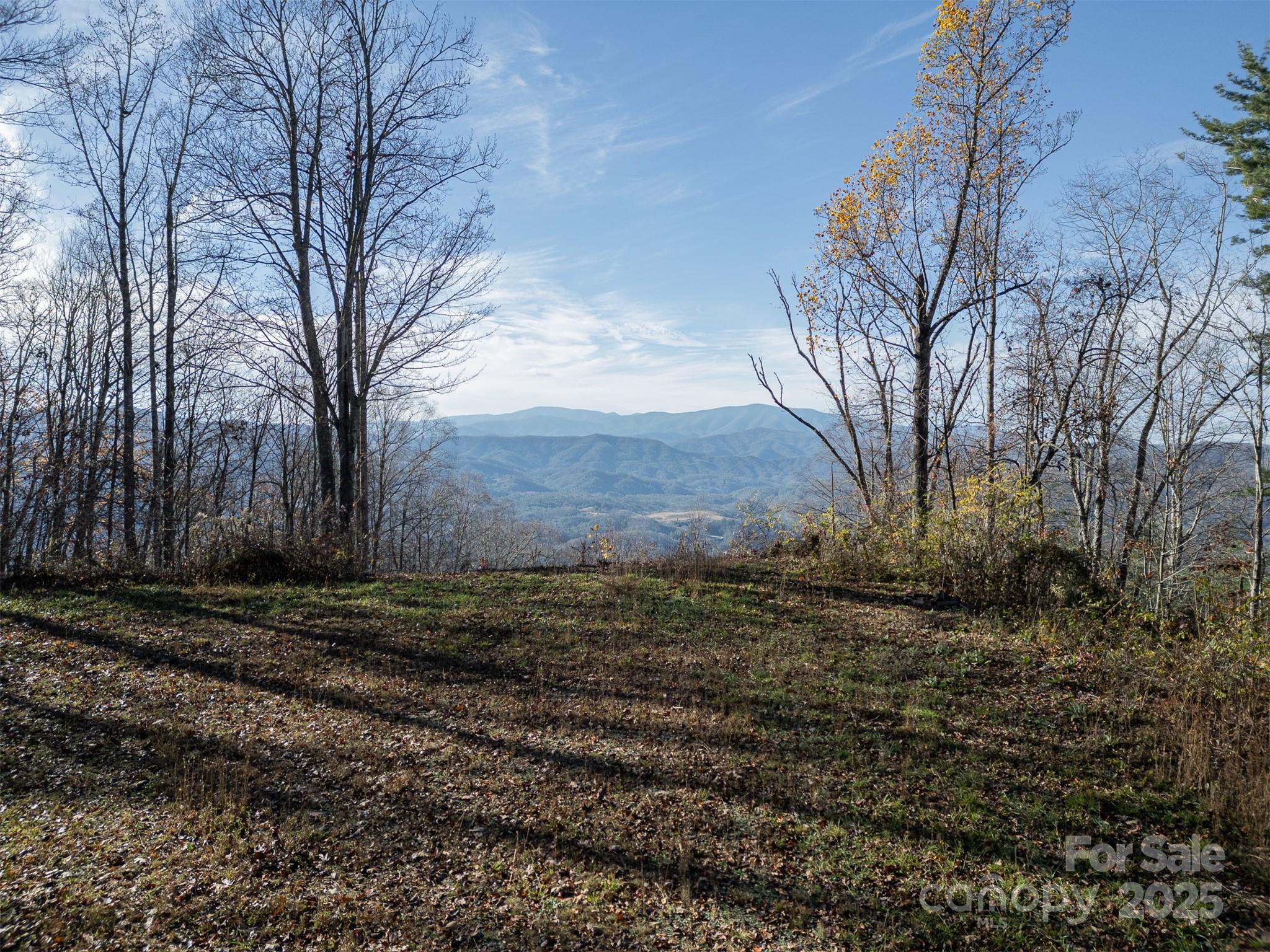 1098 Hyacinth Drive Property Photo 2