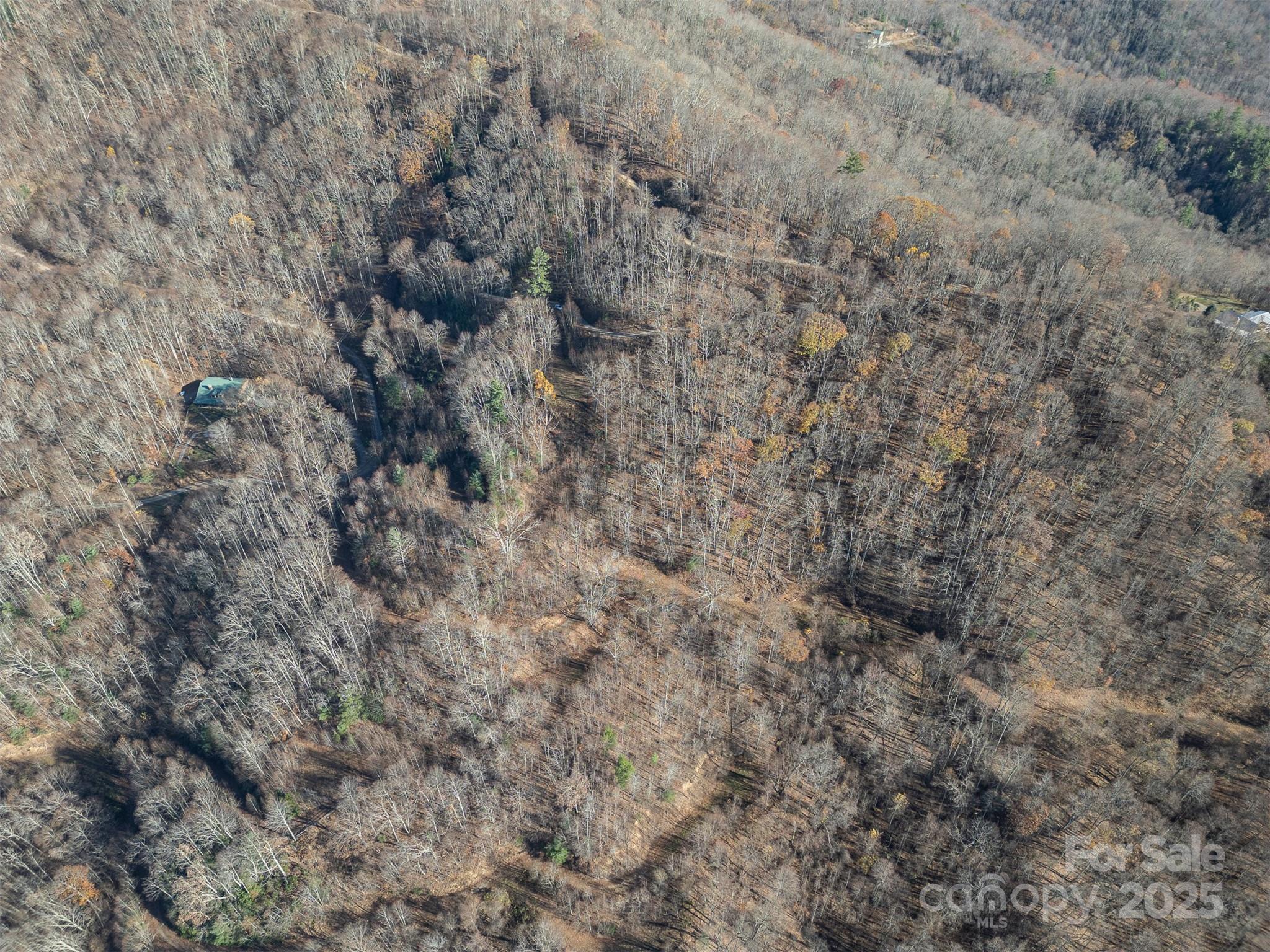1098 Hyacinth Drive Property Photo 12