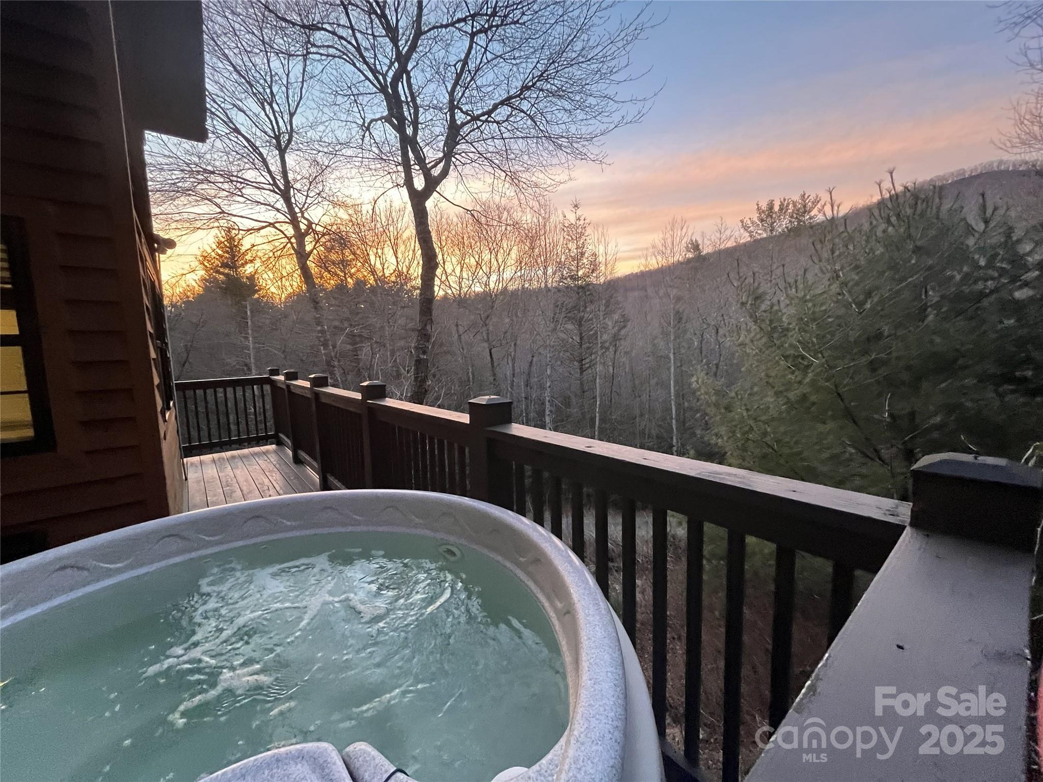 100 Bear Den Mountain View Drive 2 Property Photo 1