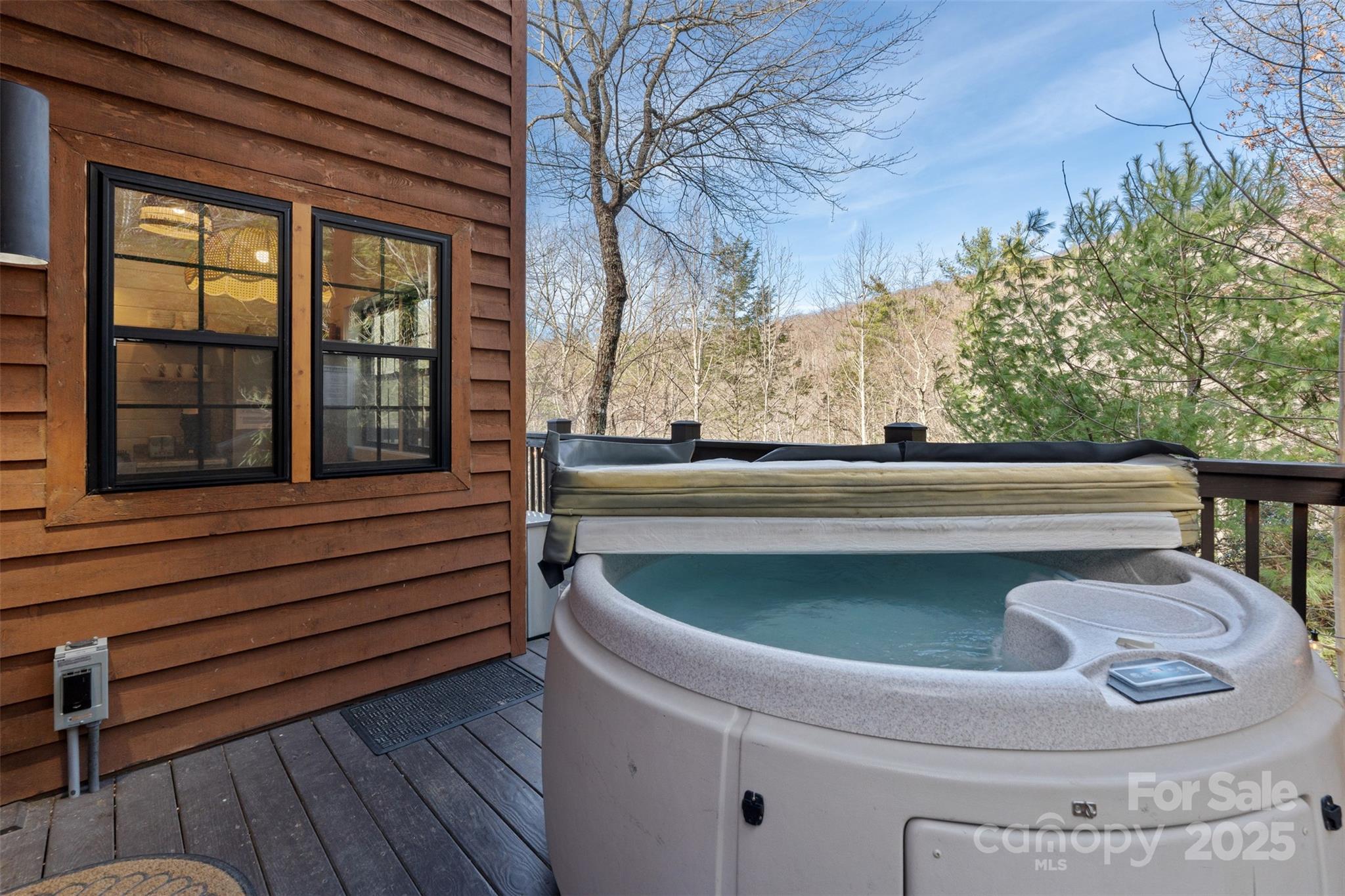 100 Bear Den Mountain View Drive 2 Property Photo 20