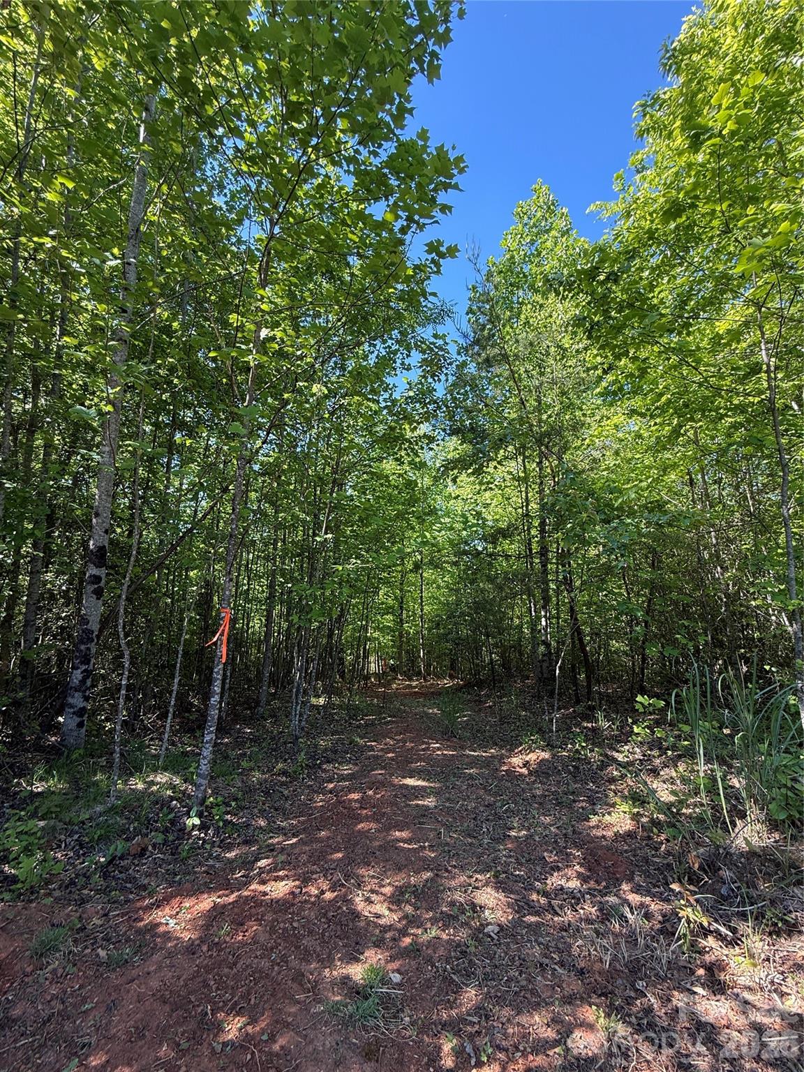 Lot # 3 West Legacy Drive 3 Property Photo 12
