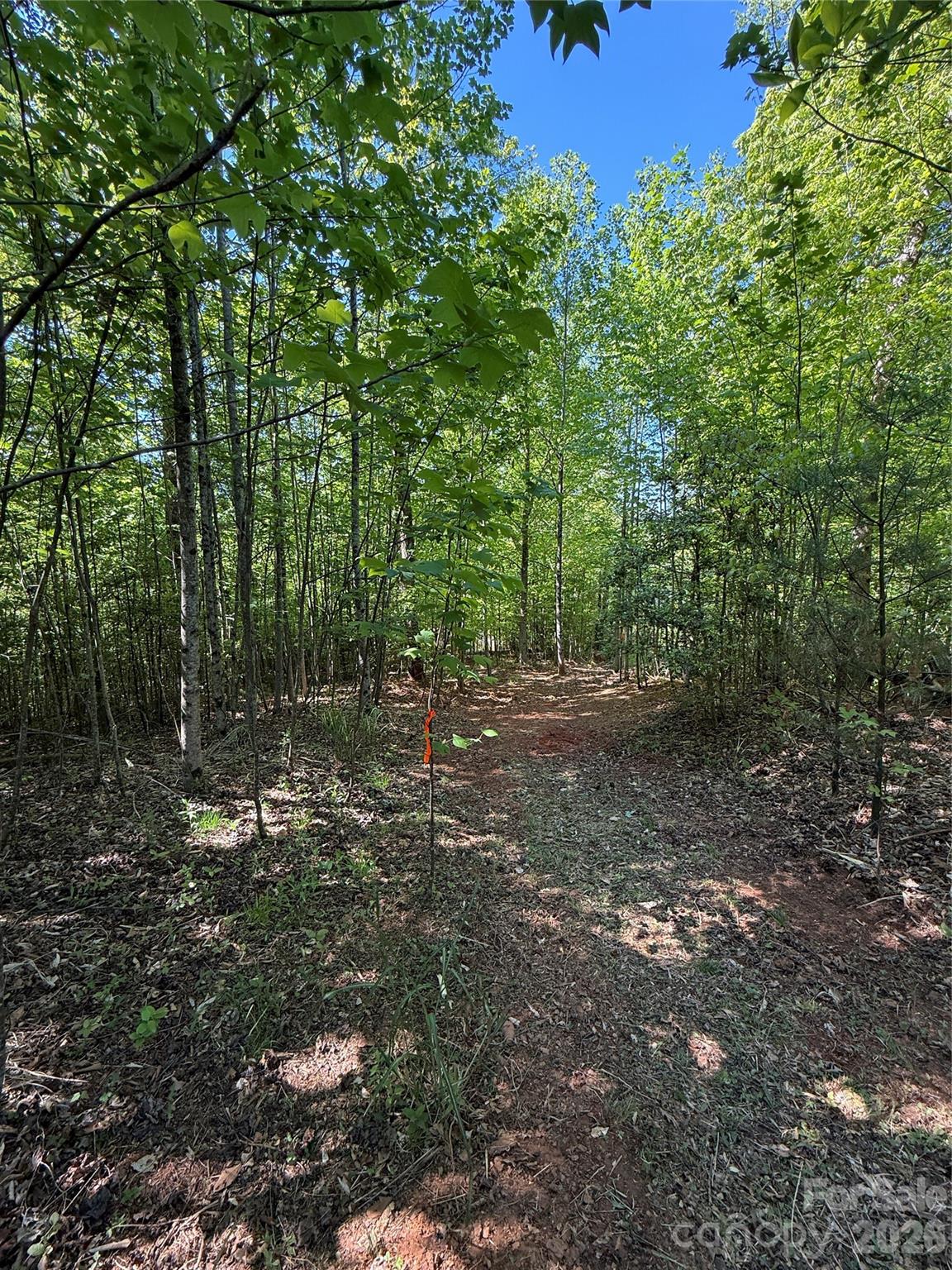 Lot # 3 West Legacy Drive 3 Property Photo 13
