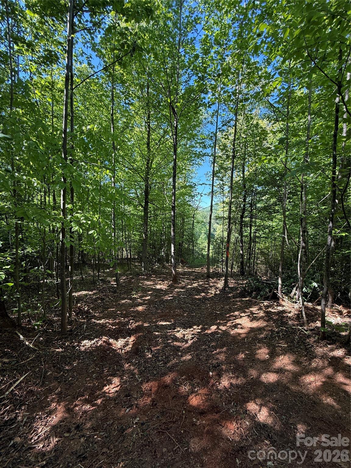 Lot # 3 West Legacy Drive 3 Property Photo 14