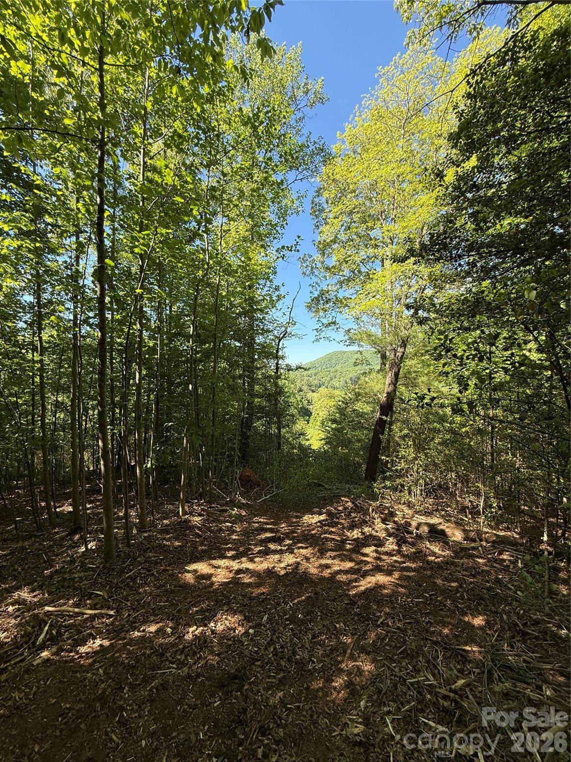 Lot # 3 West Legacy Drive 3 Property Photo 17