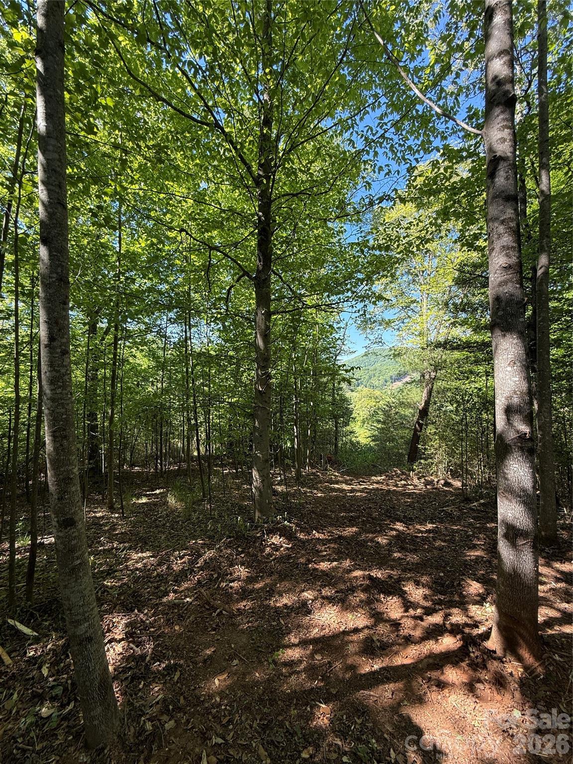 Lot # 3 West Legacy Drive 3 Property Photo 19