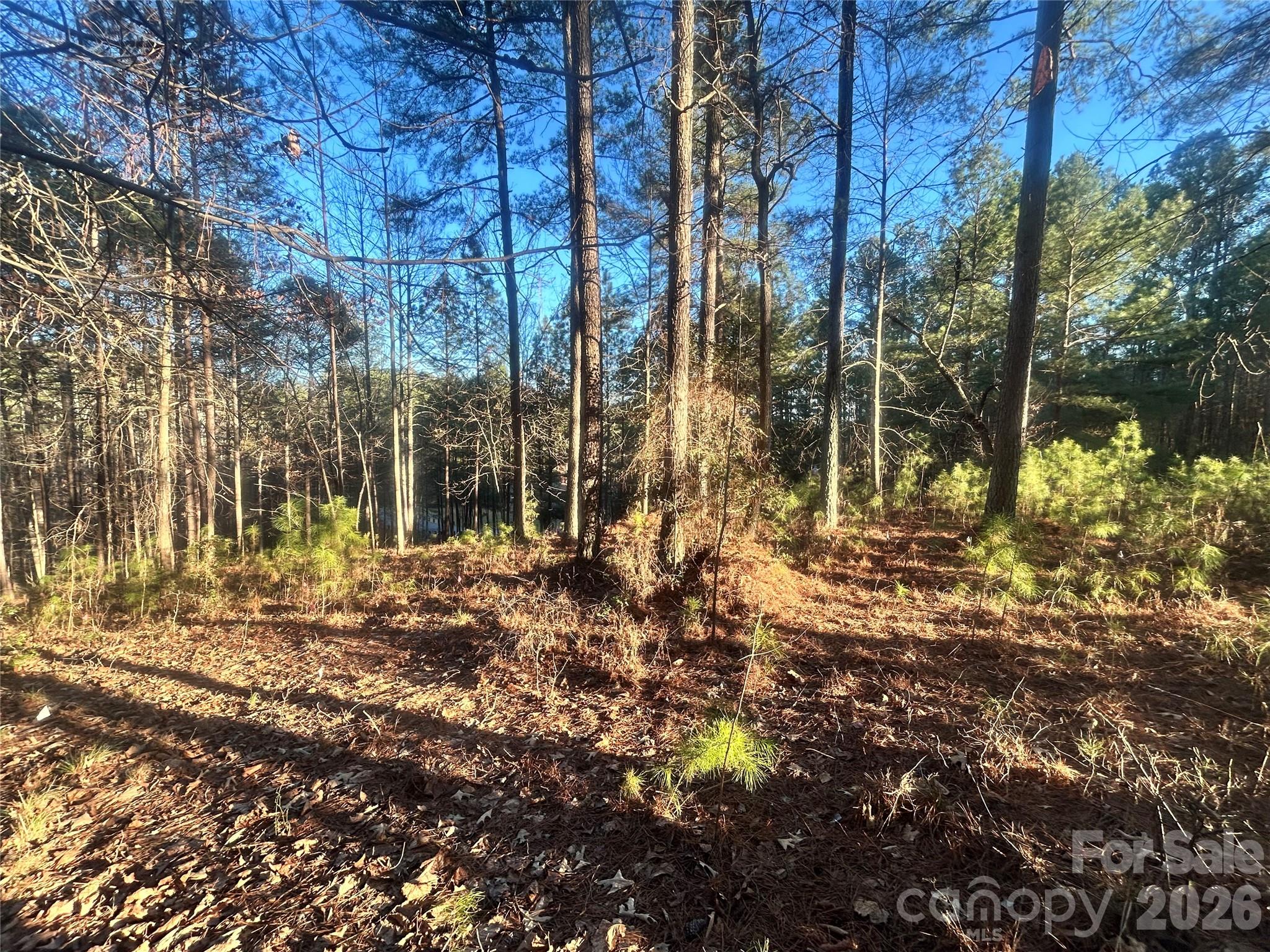 5501 Bridgewater Drive Property Photo 1