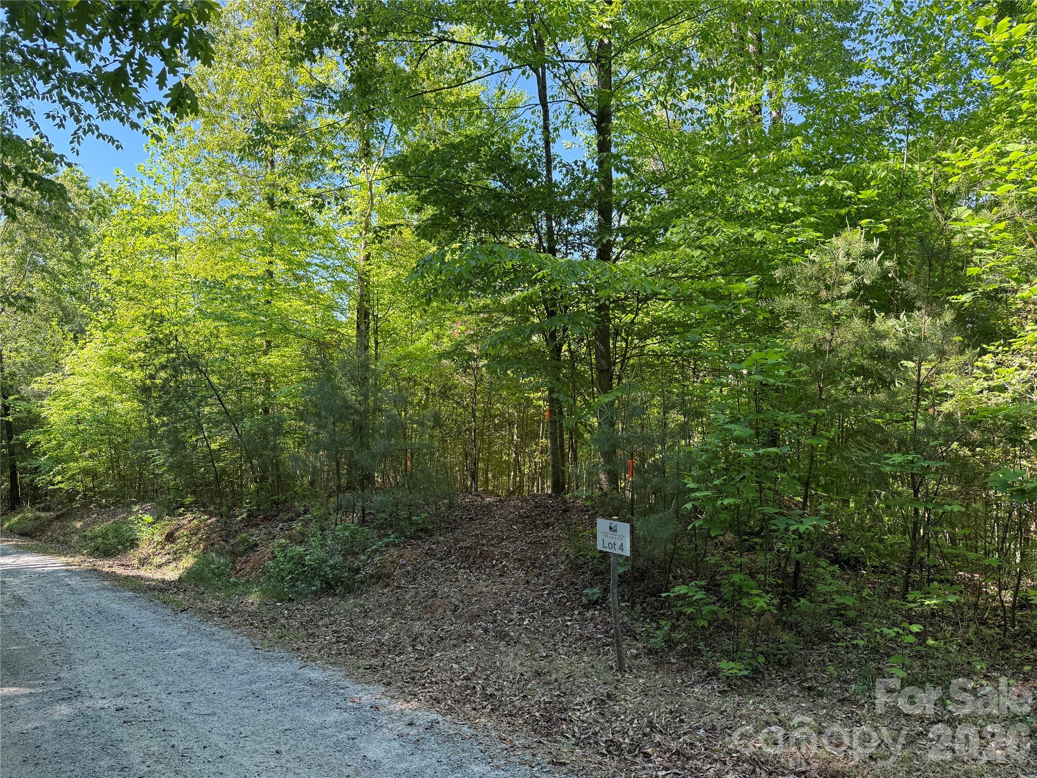 Lot # 4 West Legacy Drive 4 Property Photo 1