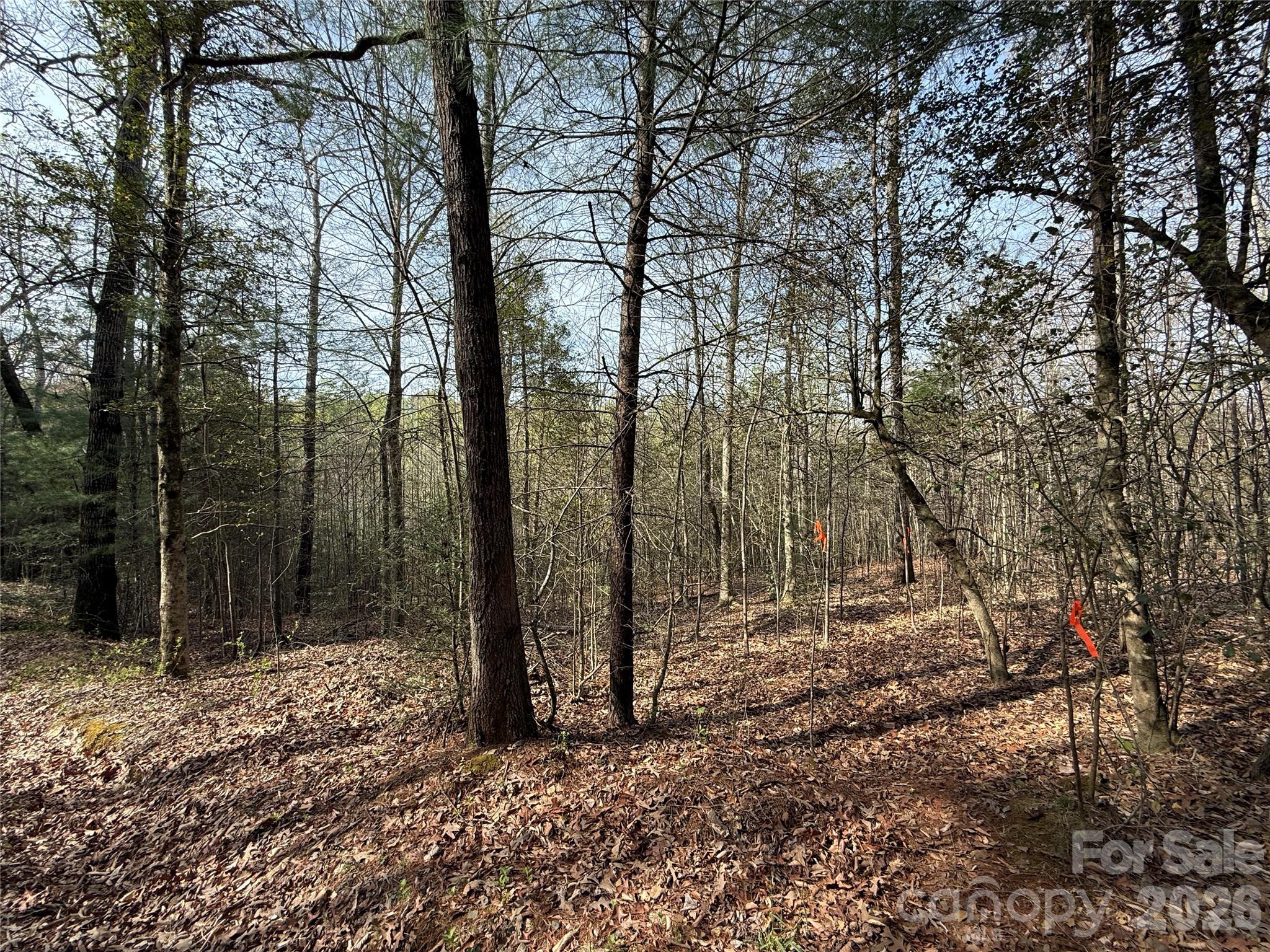 Lot # 5 West Legacy Drive 5 Property Photo 5