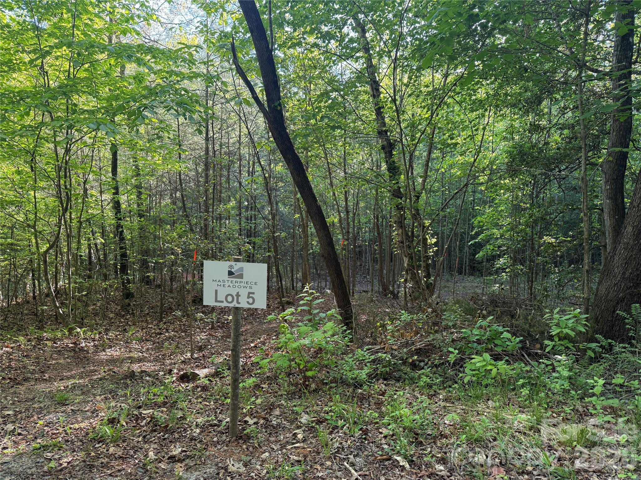 Lot # 5 West Legacy Drive 5 Property Photo 8