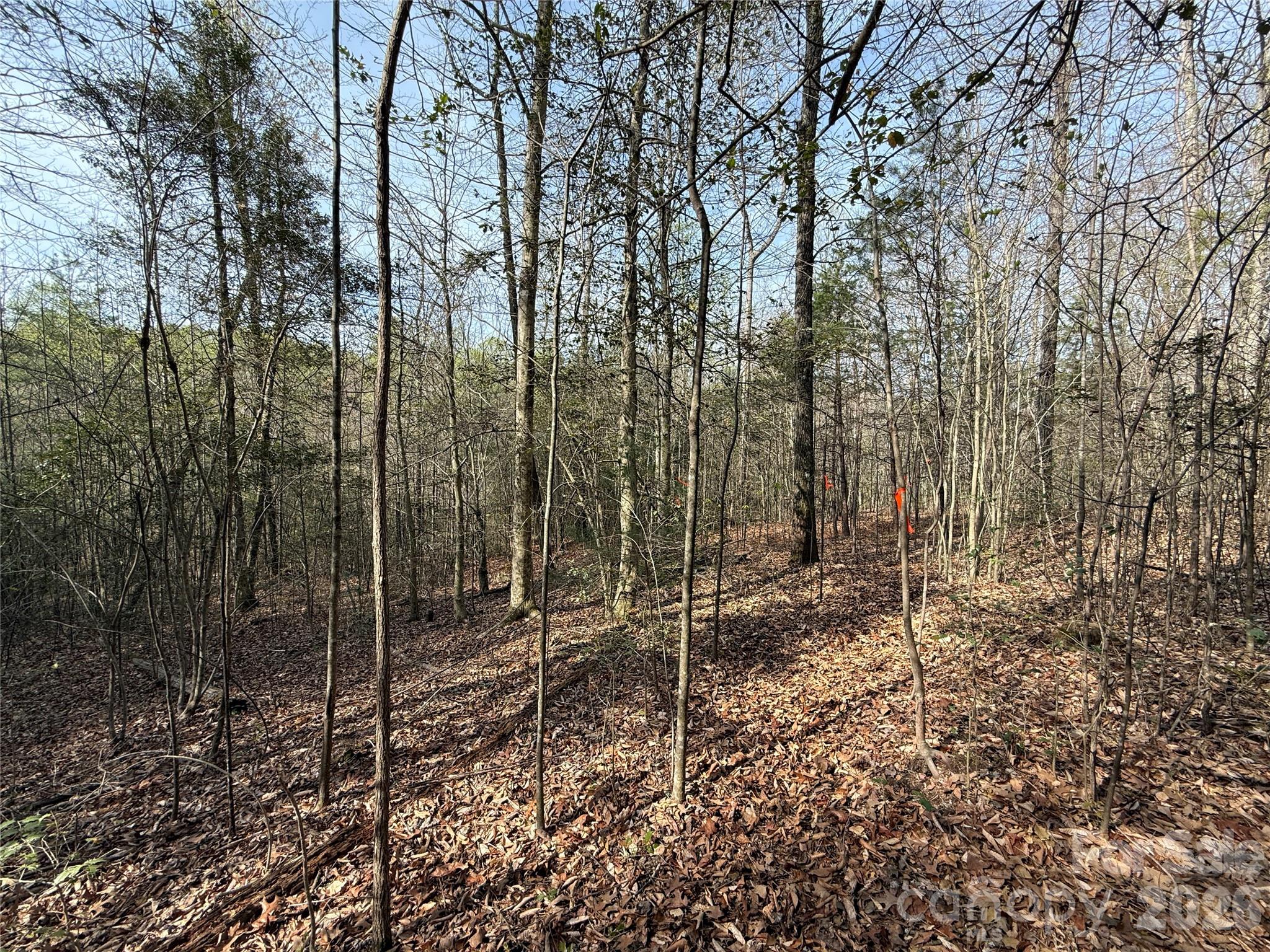 Lot # 5 West Legacy Drive 5 Property Photo 11