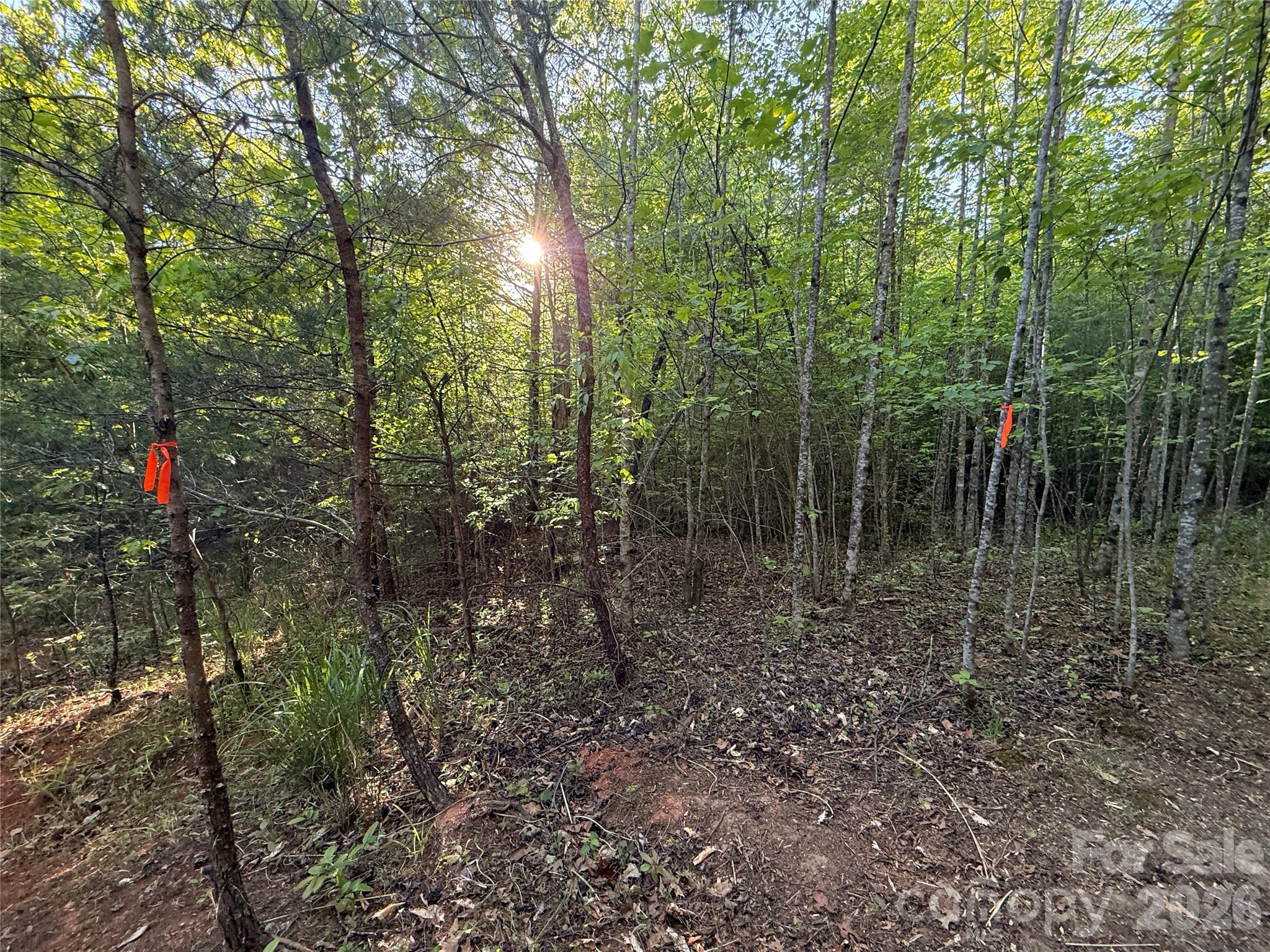 Lot # 5 West Legacy Drive 5 Property Photo 12