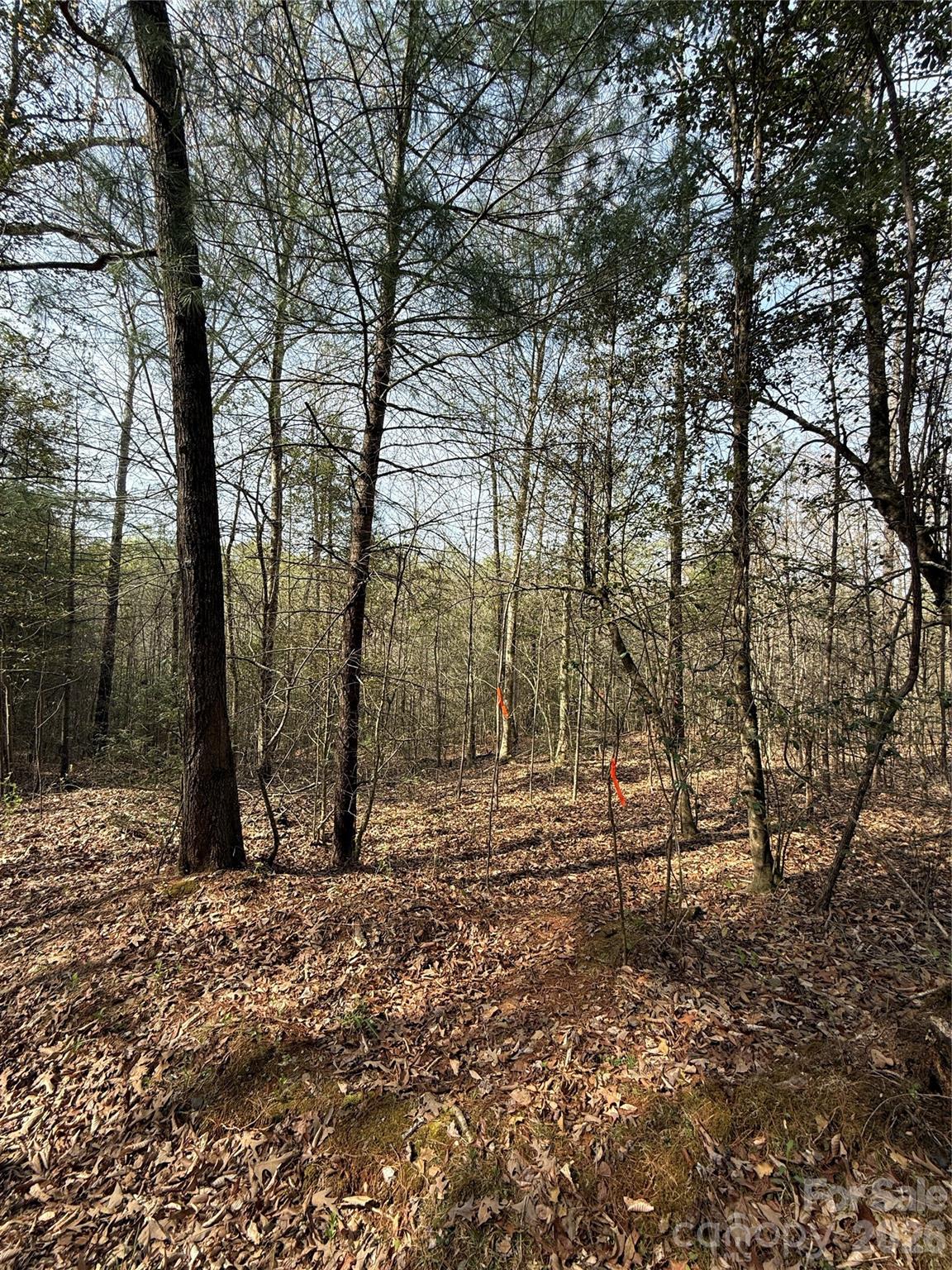 Lot # 5 West Legacy Drive 5 Property Photo 13