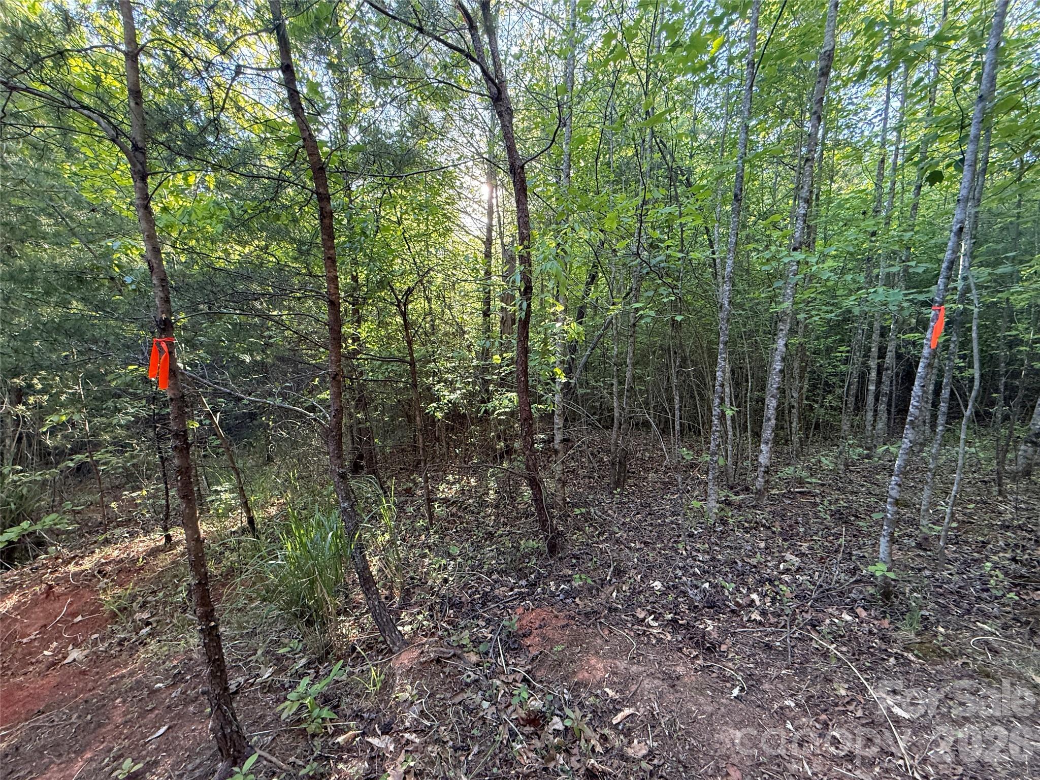 Lot # 5 West Legacy Drive 5 Property Photo 15