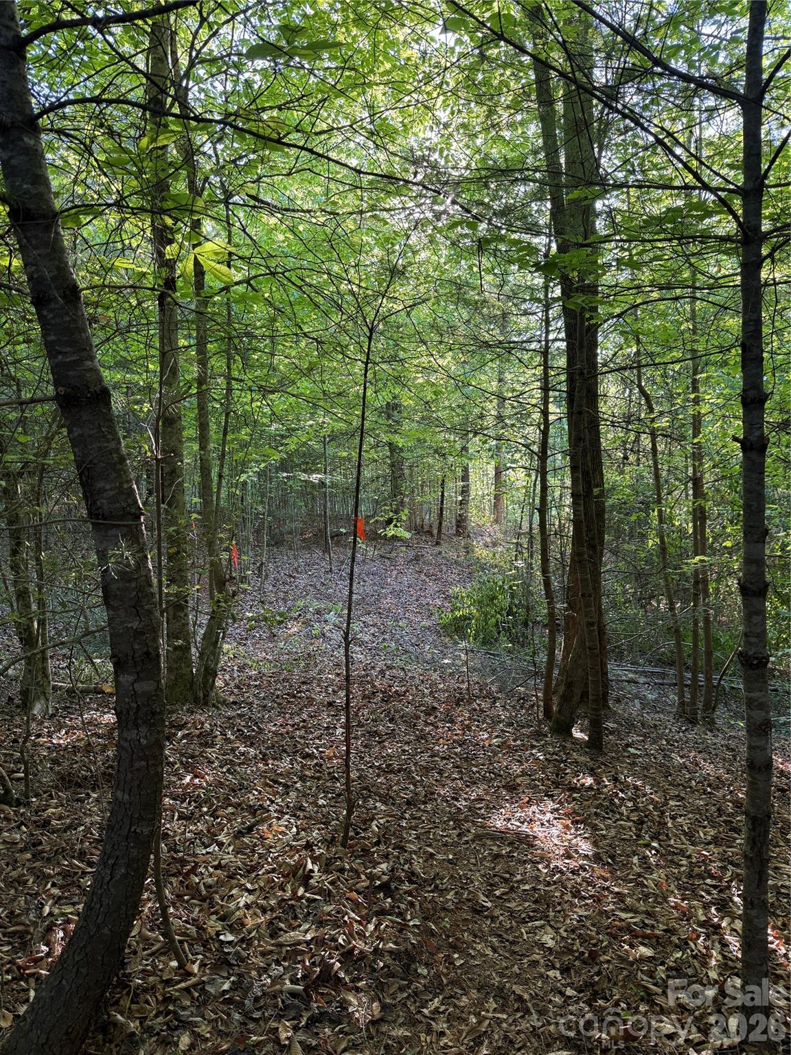 Lot # 6 West Legacy Drive 6 Property Photo 3
