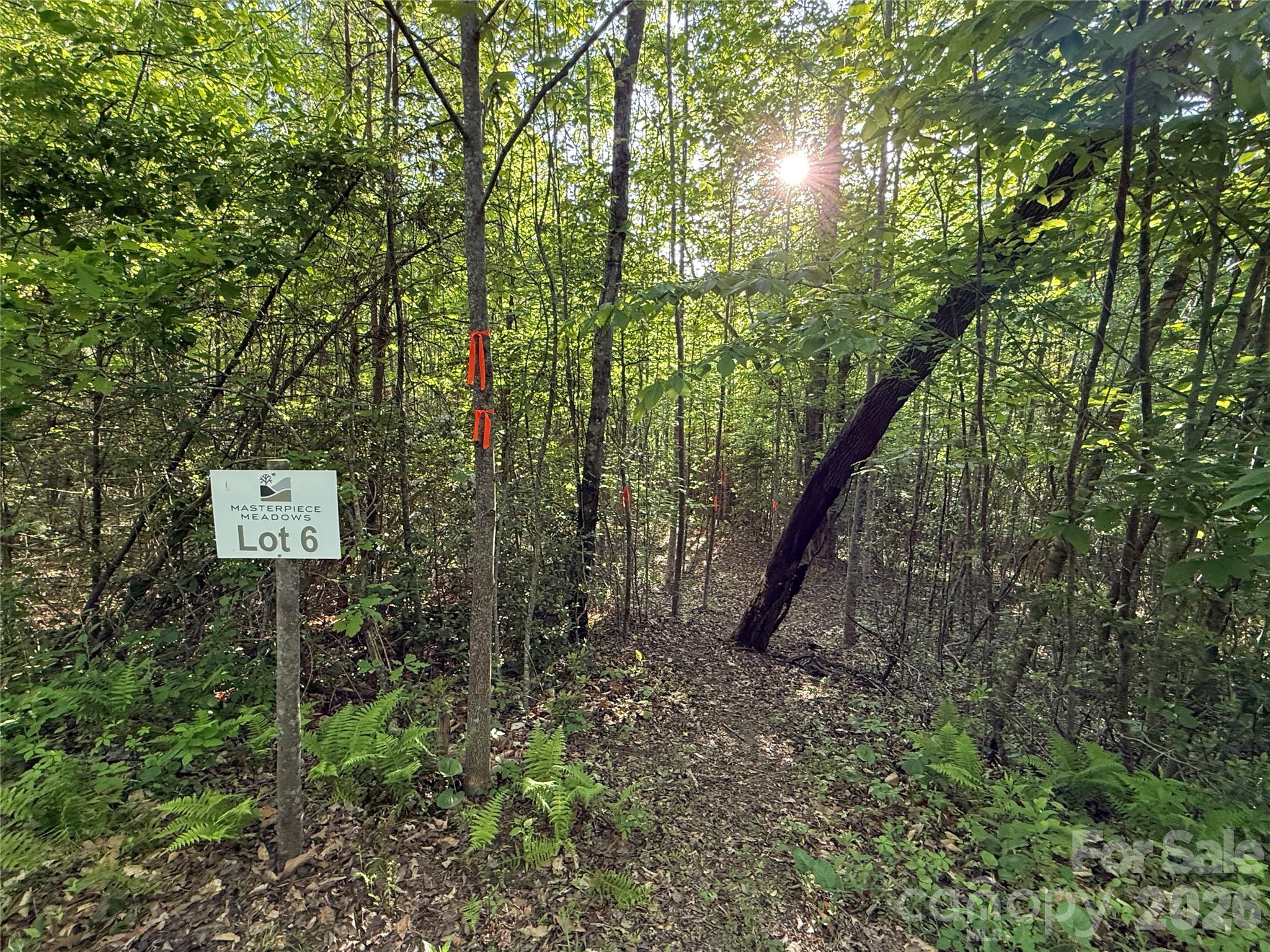 Lot # 6 West Legacy Drive 6 Property Photo 4
