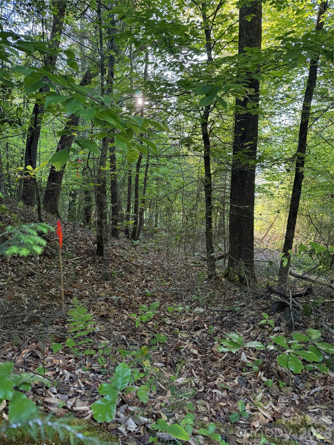 Lot # 6 West Legacy Drive 6 Property Photo 7