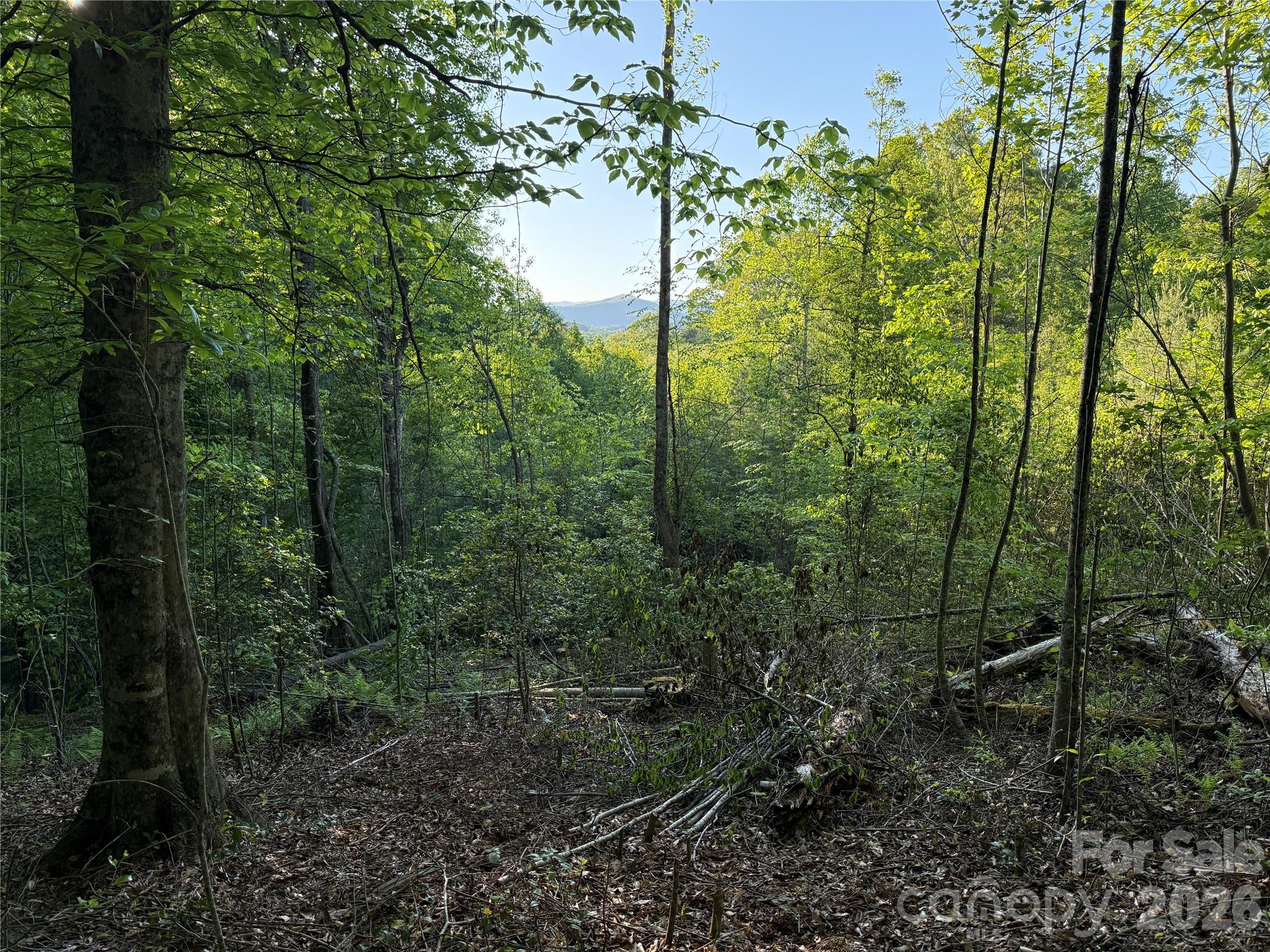 Lot # 6 West Legacy Drive 6 Property Photo 12