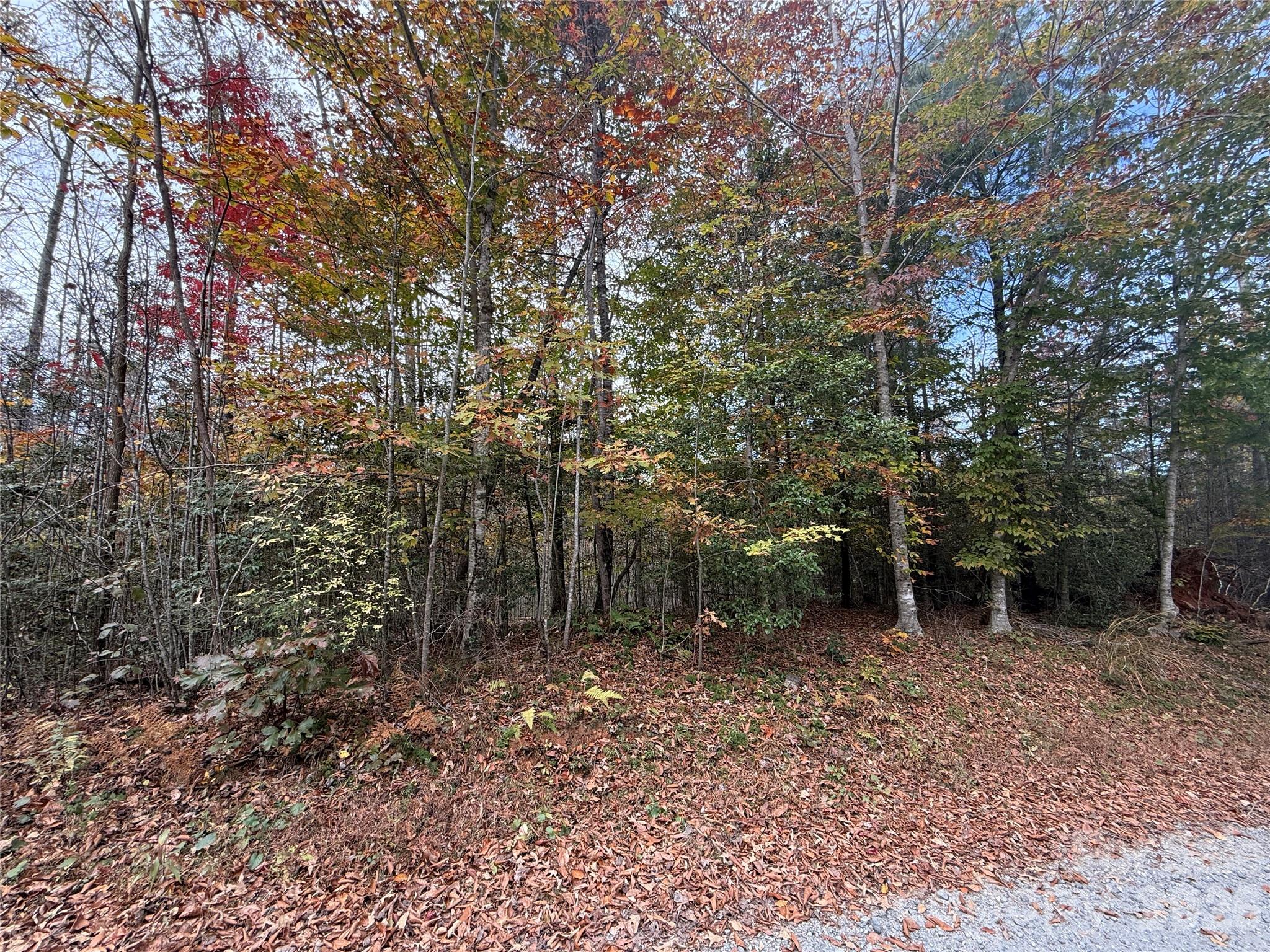 Lot # 6 West Legacy Drive 6 Property Photo 18