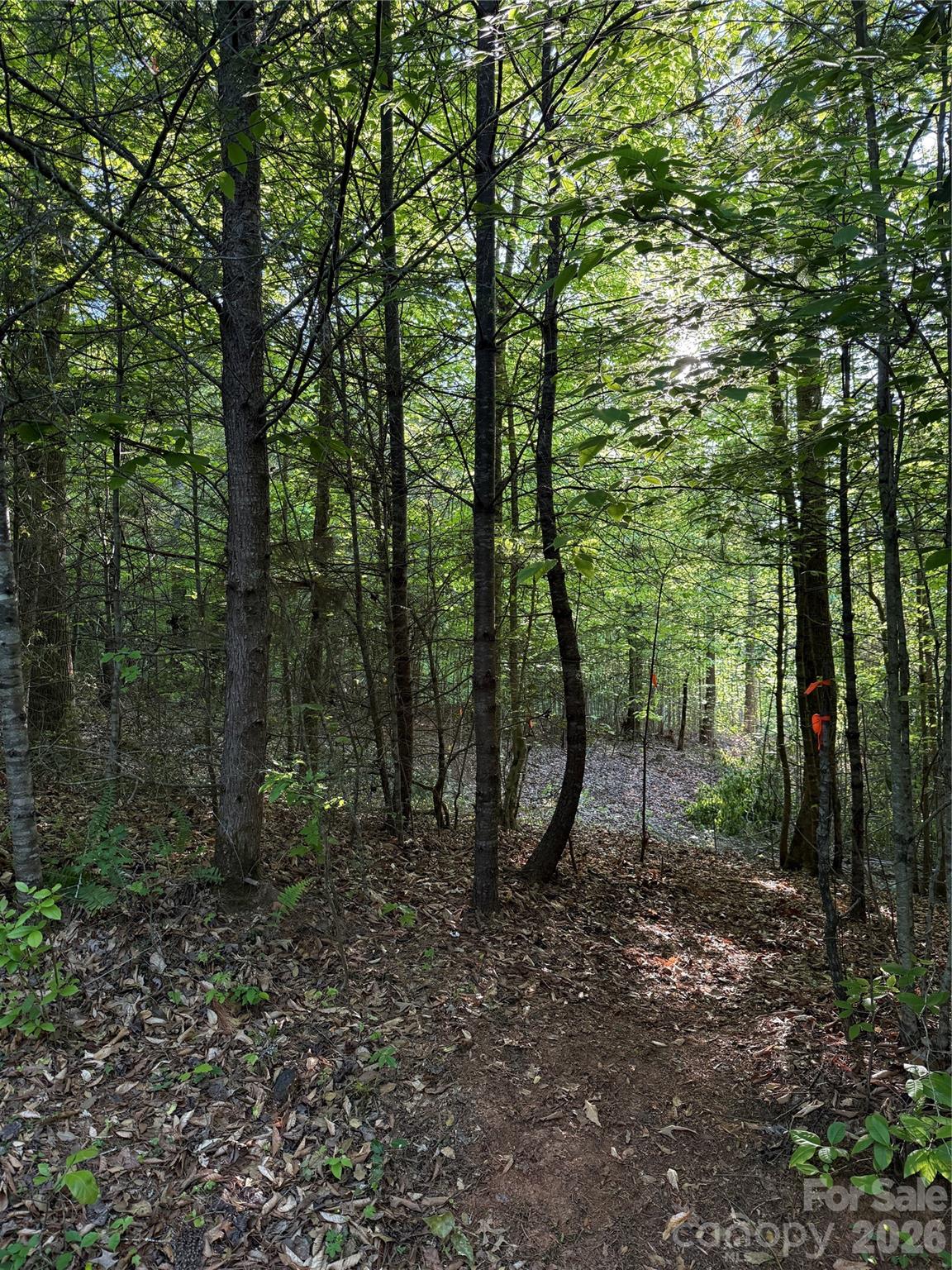 Lot # 6 West Legacy Drive 6 Property Photo 24