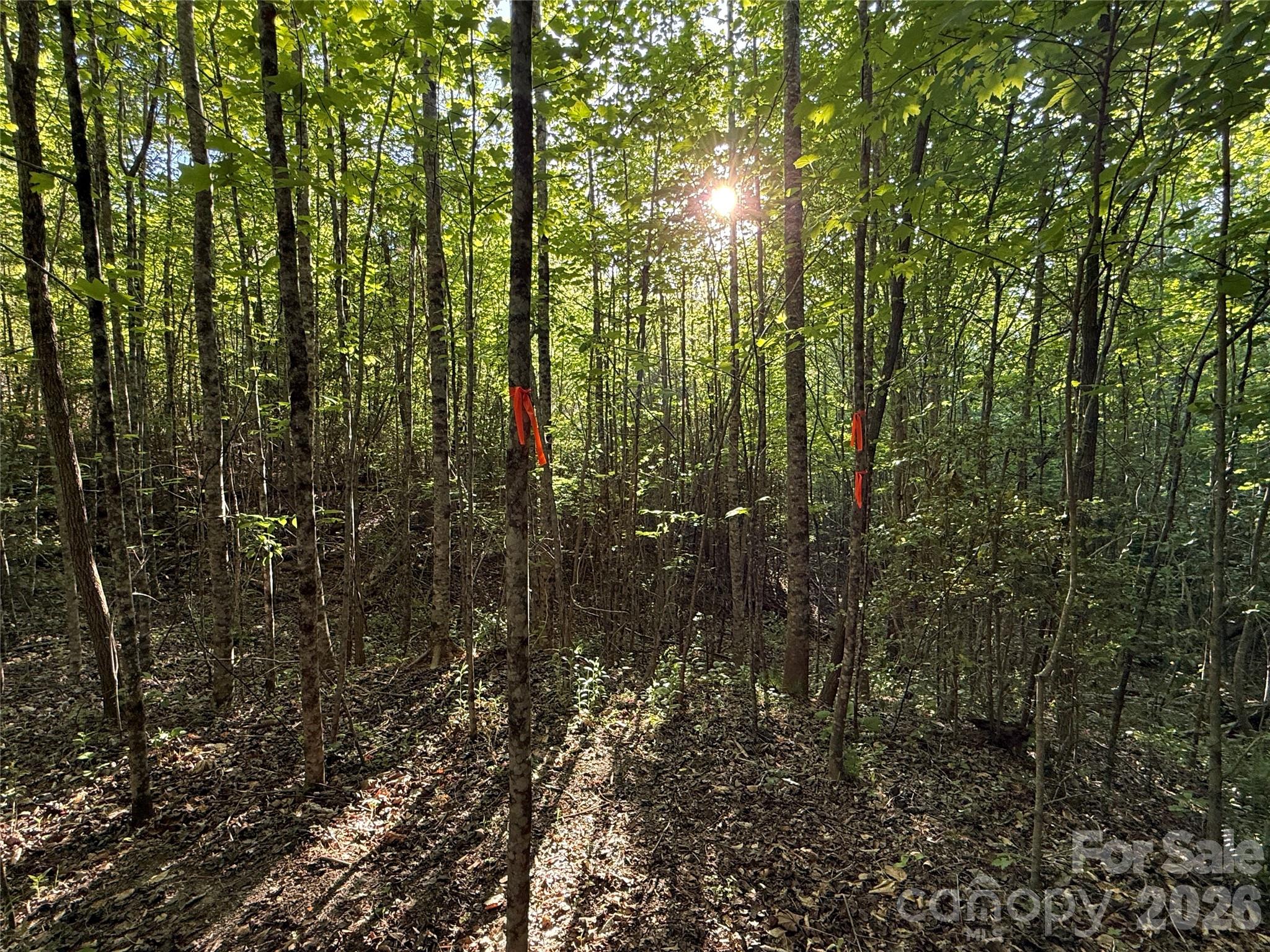 Lot # 6 West Legacy Drive 6 Property Photo 26