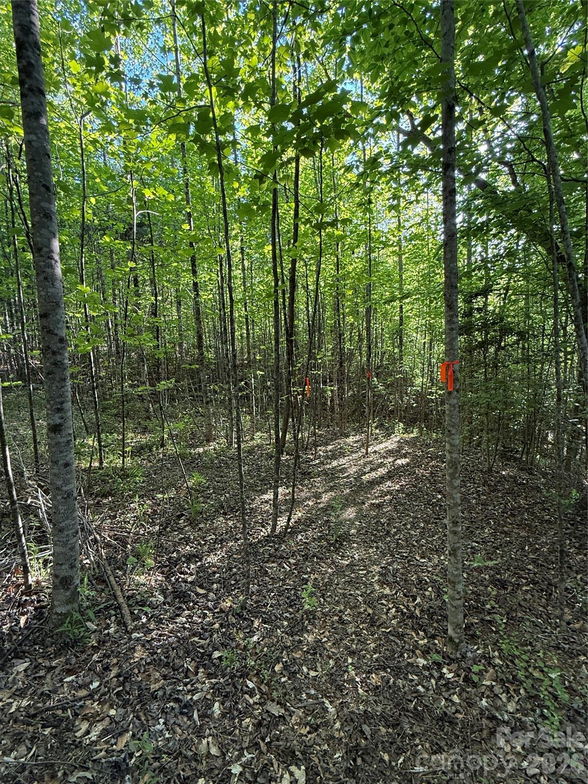 Lot # 6 West Legacy Drive 6 Property Photo 27