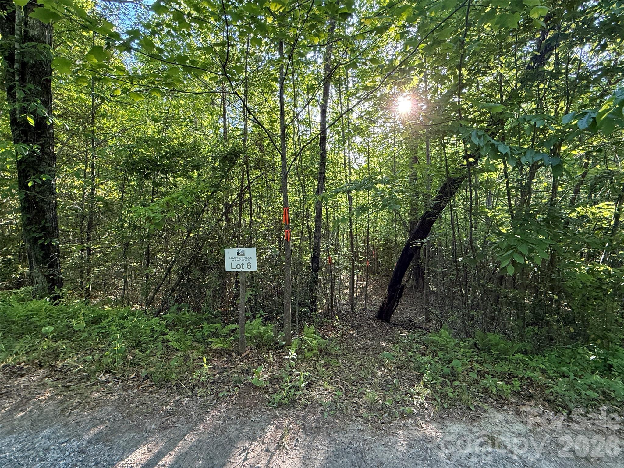 Lot # 6 West Legacy Drive 6 Property Photo 29
