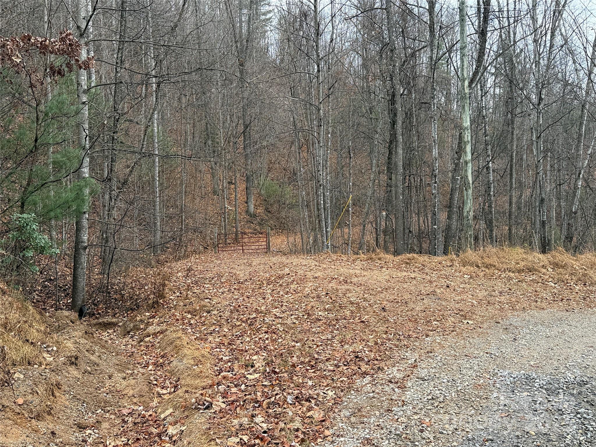 Tbd Casey Mountain Road 218 Property Photo 4