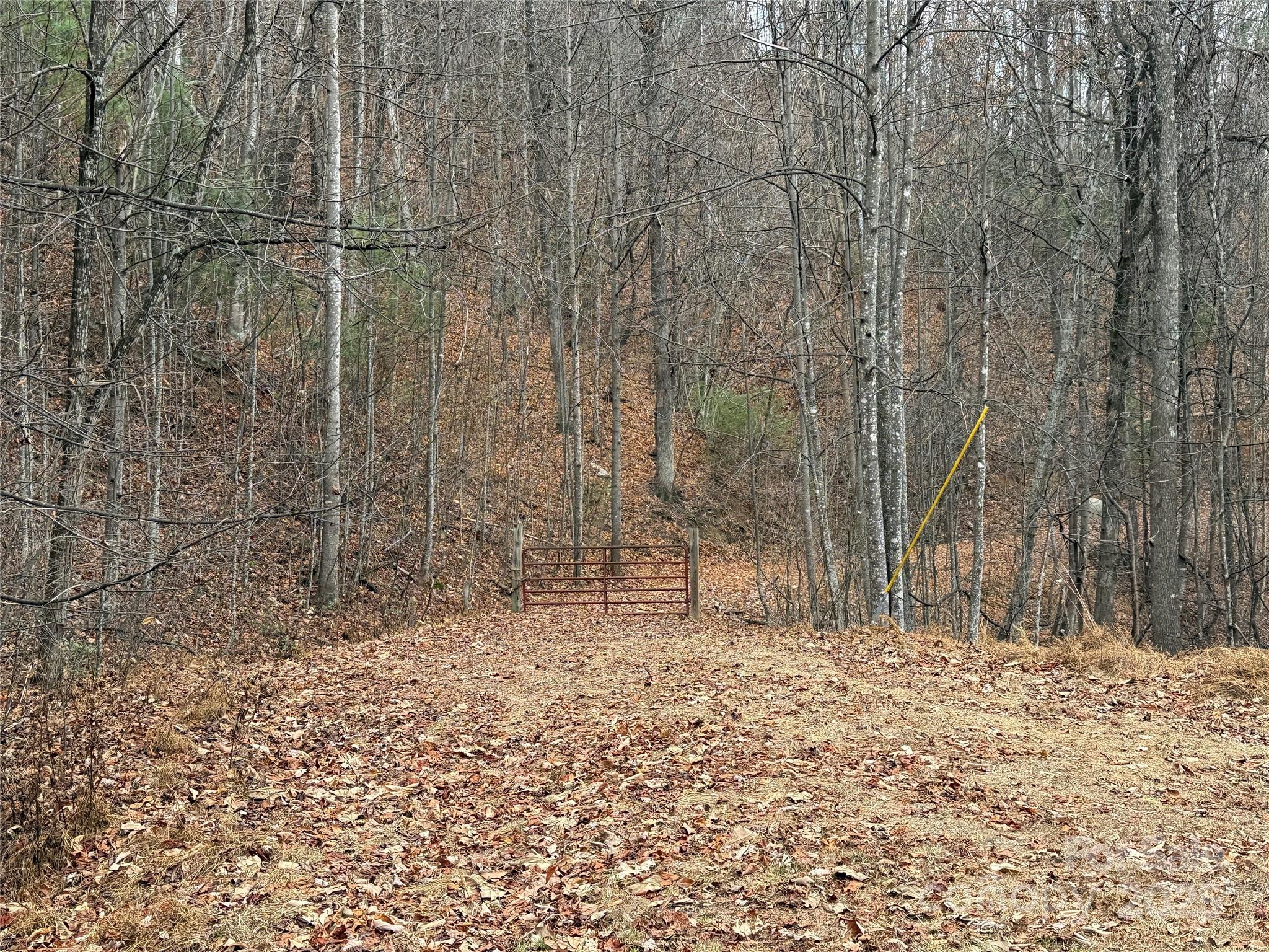Tbd Casey Mountain Road 218 Property Photo 5