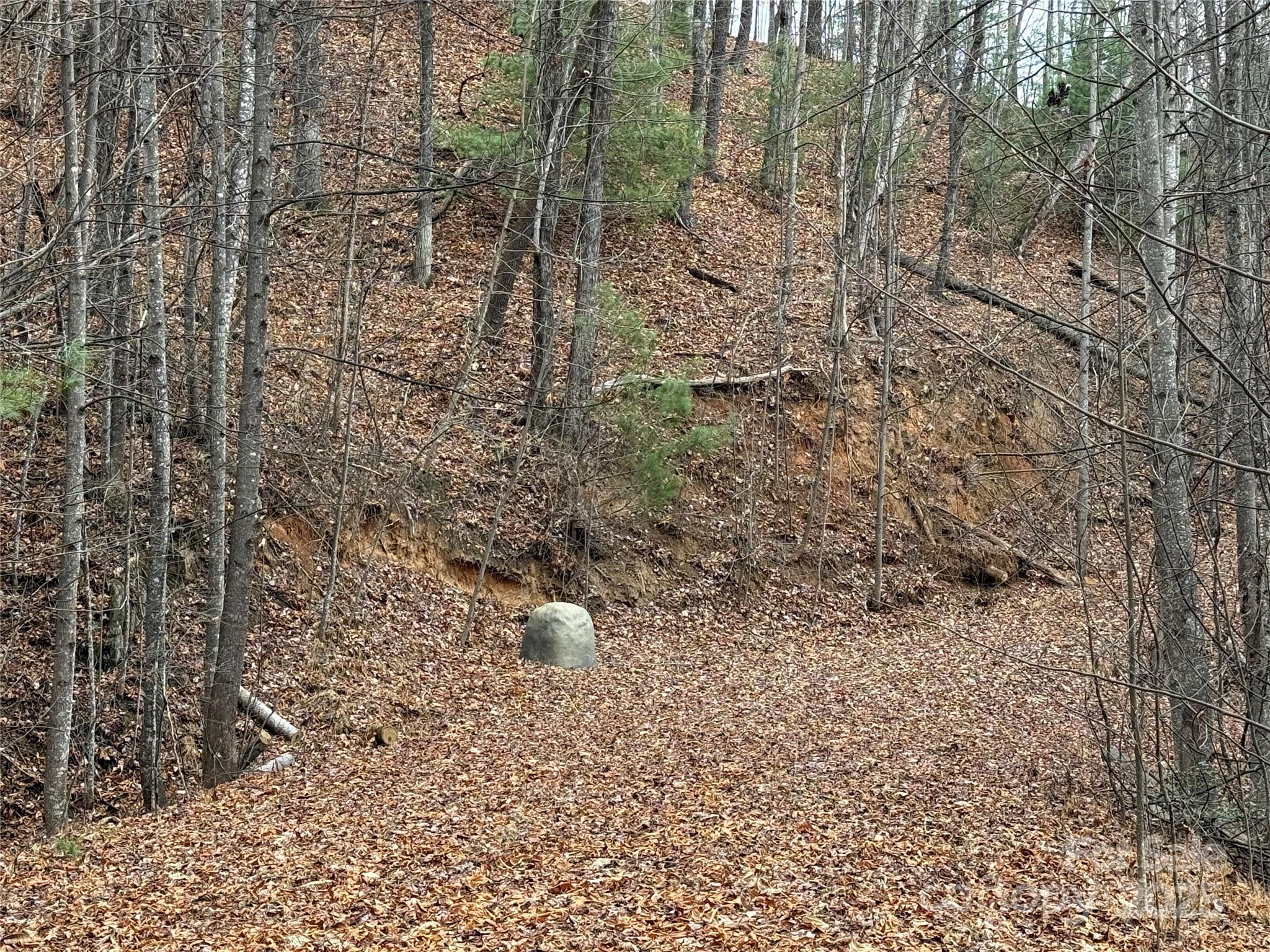 Tbd Casey Mountain Road 218 Property Photo 6