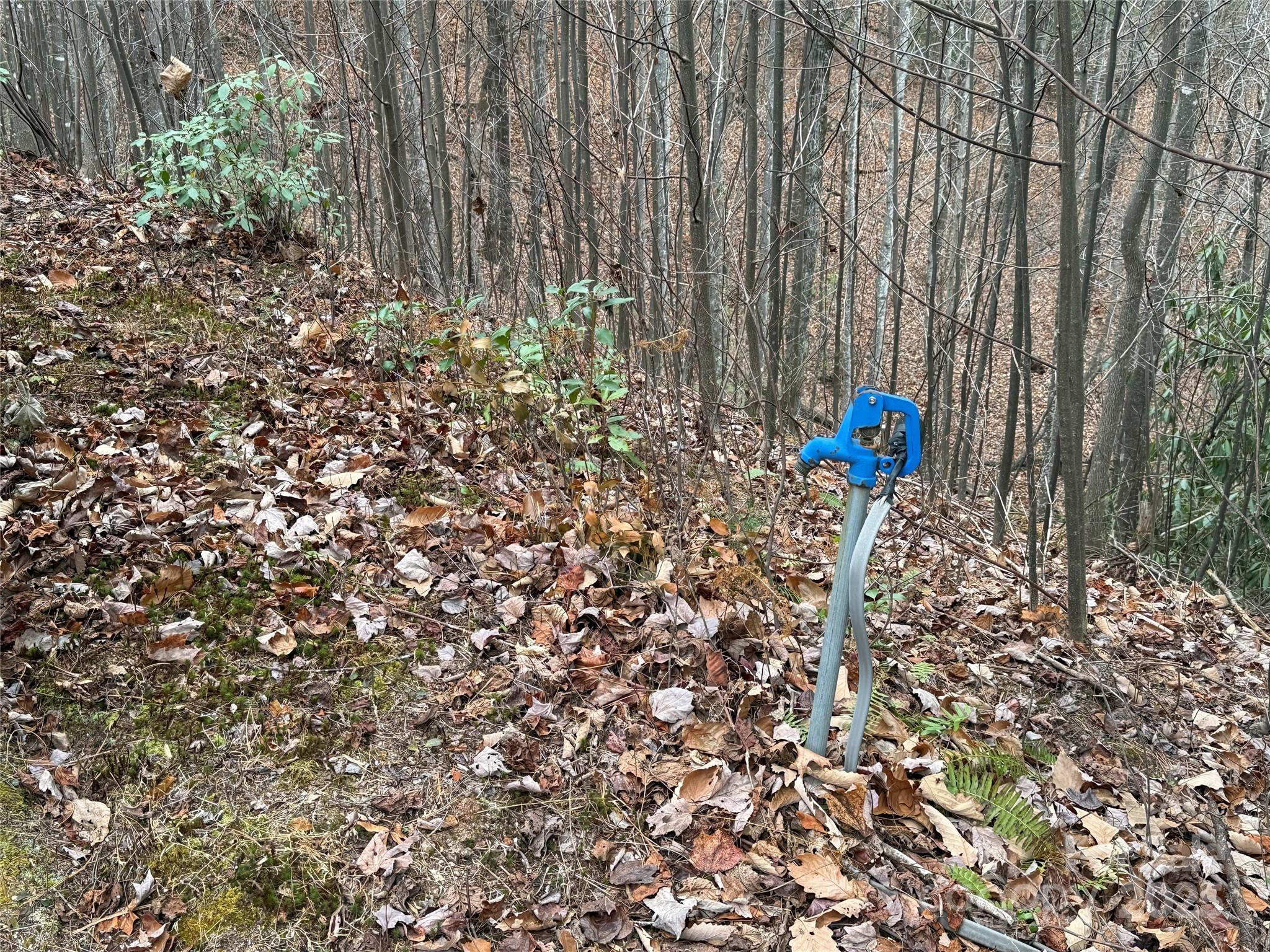 Tbd Casey Mountain Road 218 Property Photo 10