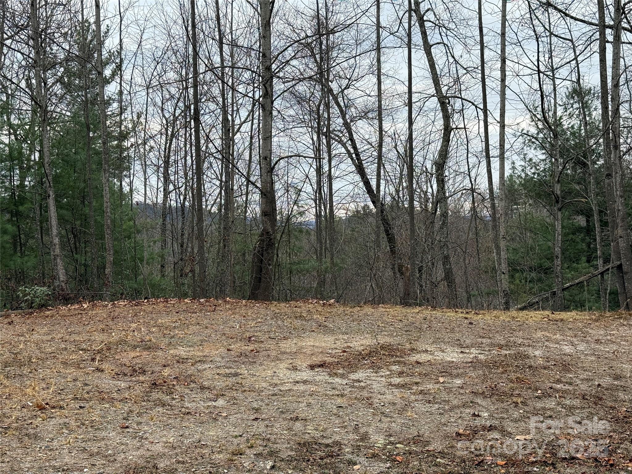 Tbd Casey Mountain Road 218 Property Photo 12