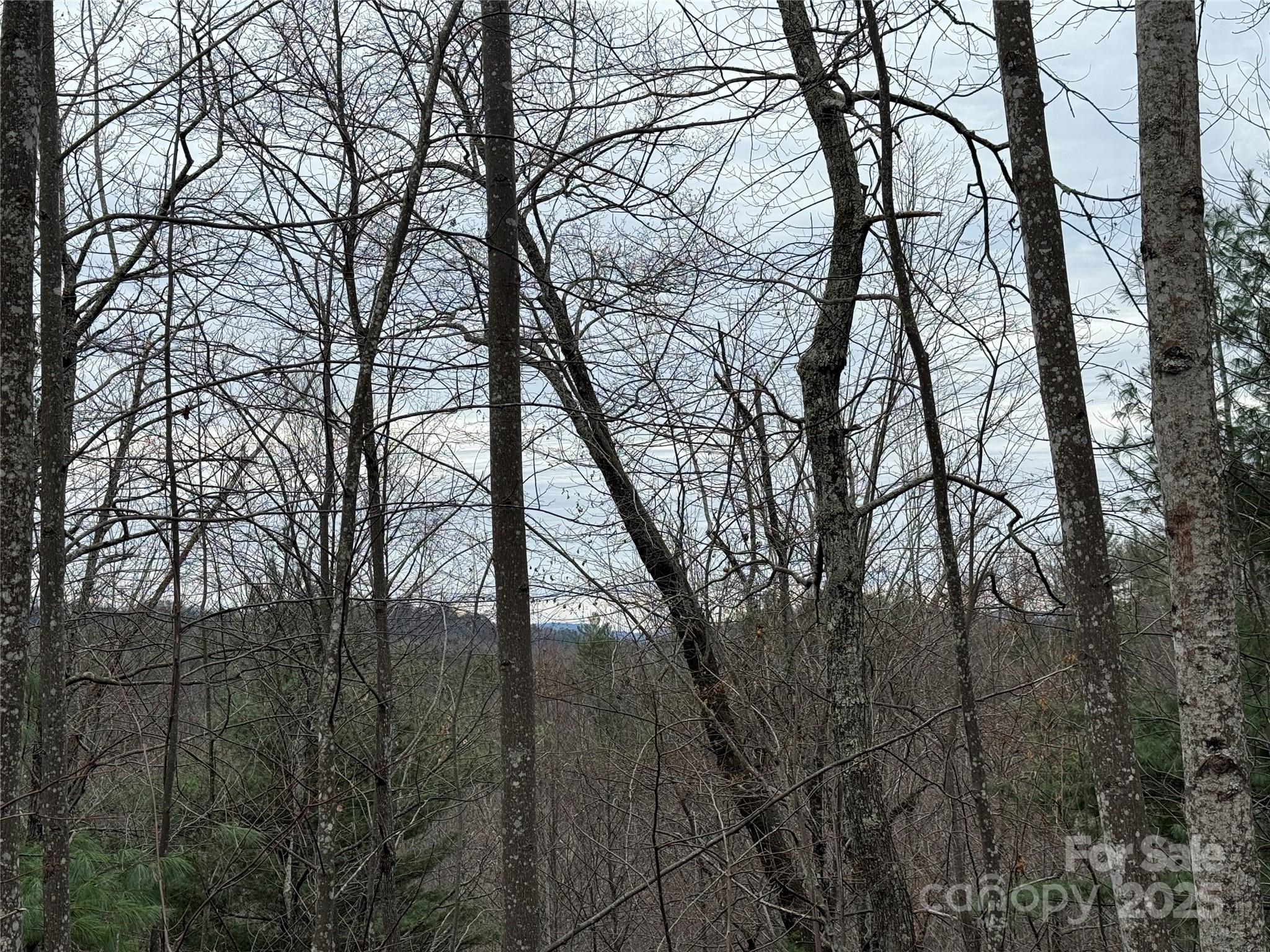 Tbd Casey Mountain Road 218 Property Photo 13