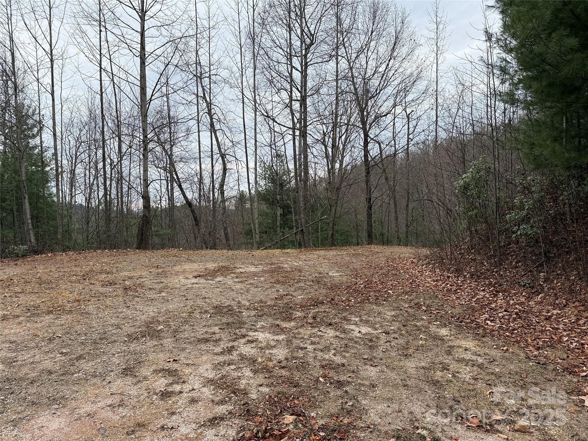 Tbd Casey Mountain Road 218 Property Photo 14