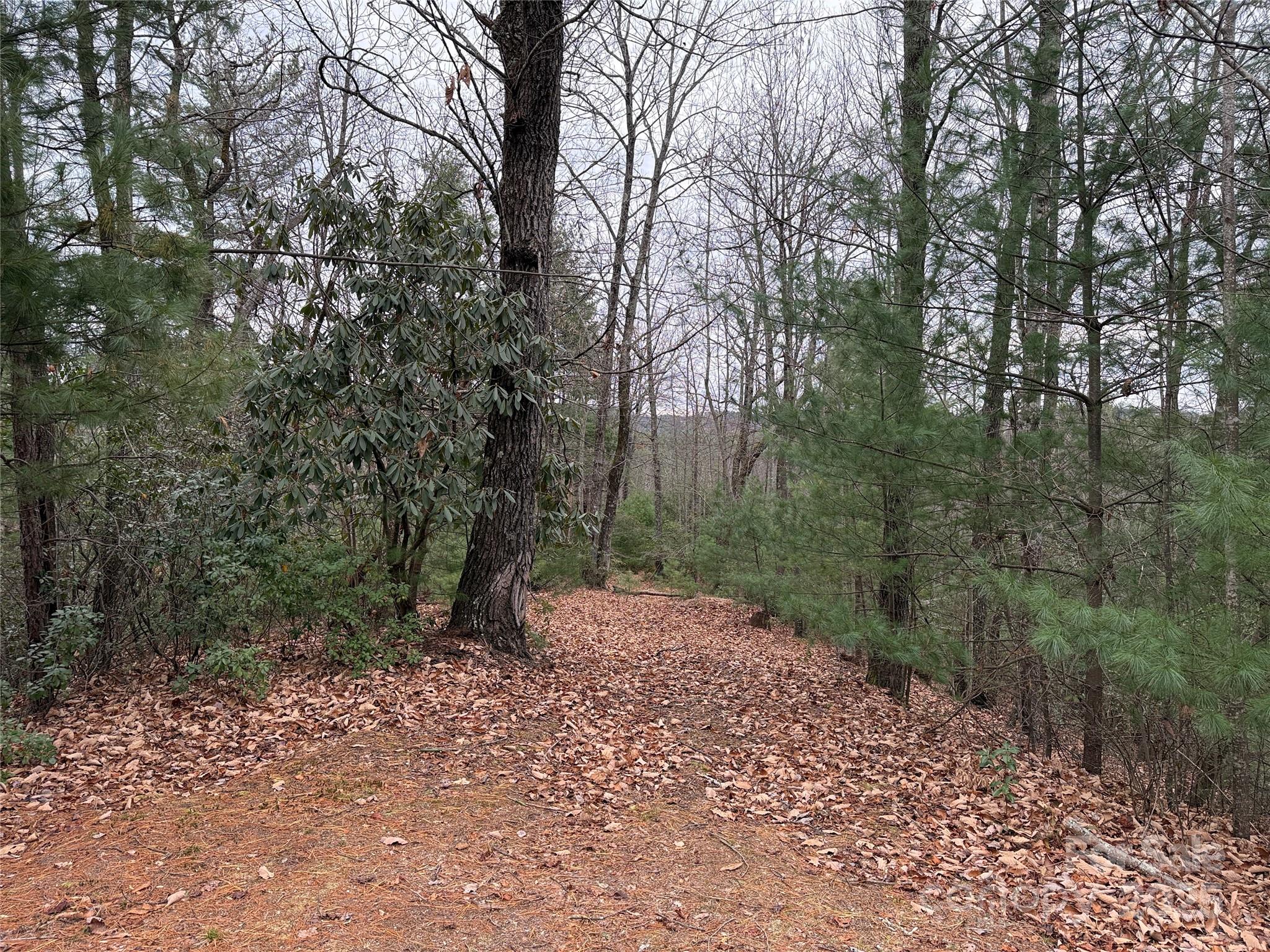 Tbd Casey Mountain Road 218 Property Photo 17