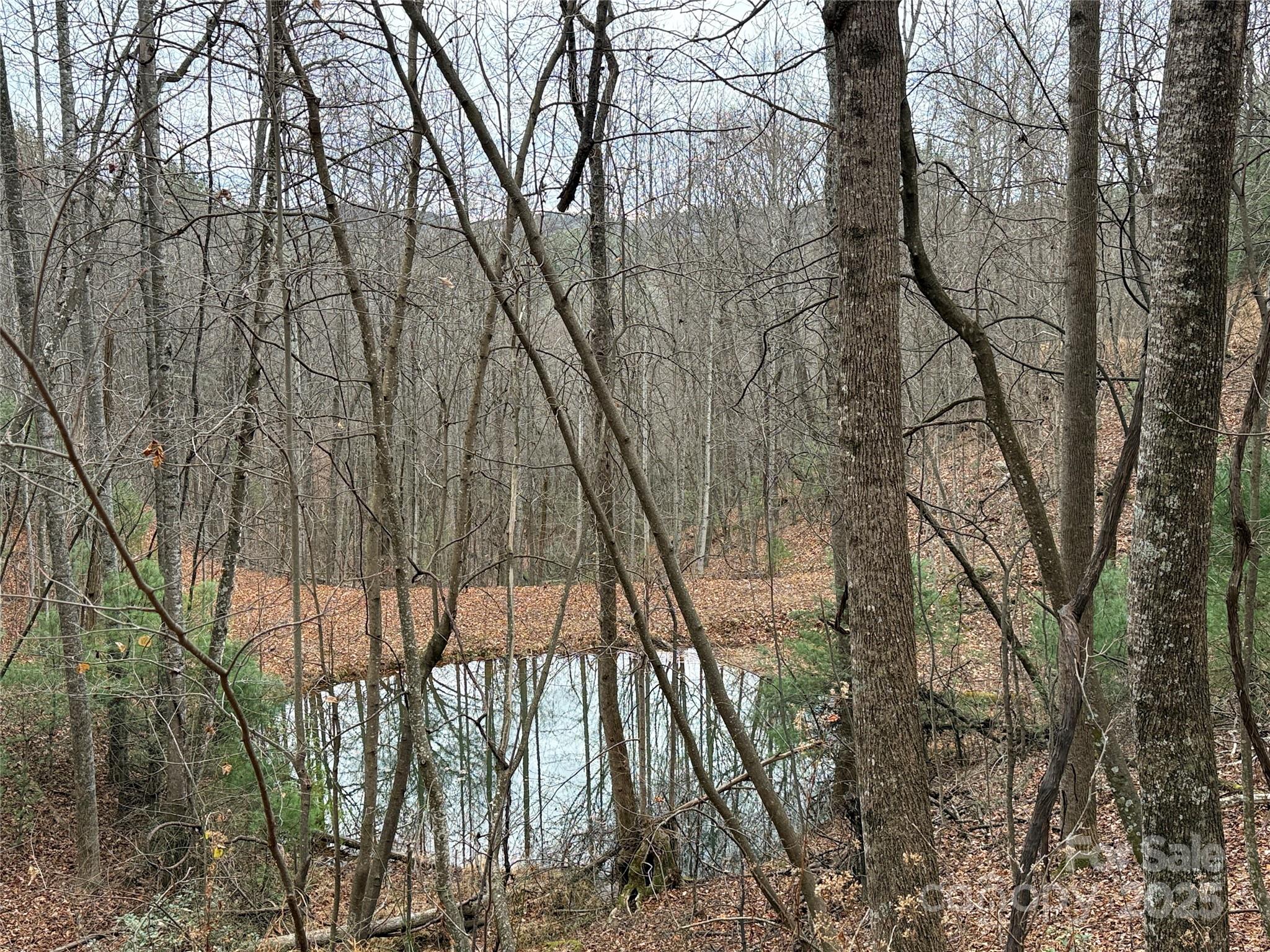 Tbd Casey Mountain Road 218 Property Photo 18