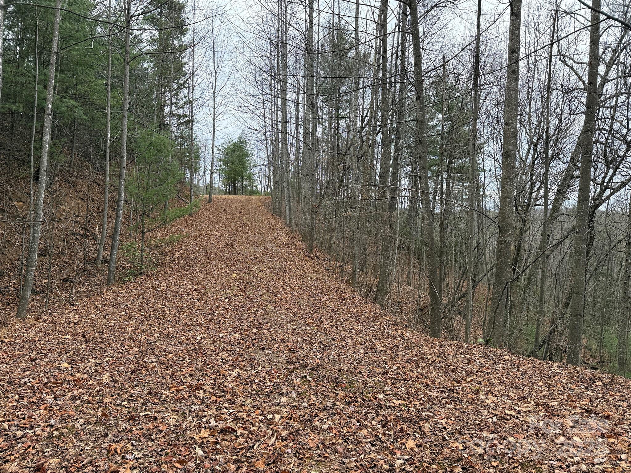 Tbd Casey Mountain Road 218 Property Photo 19