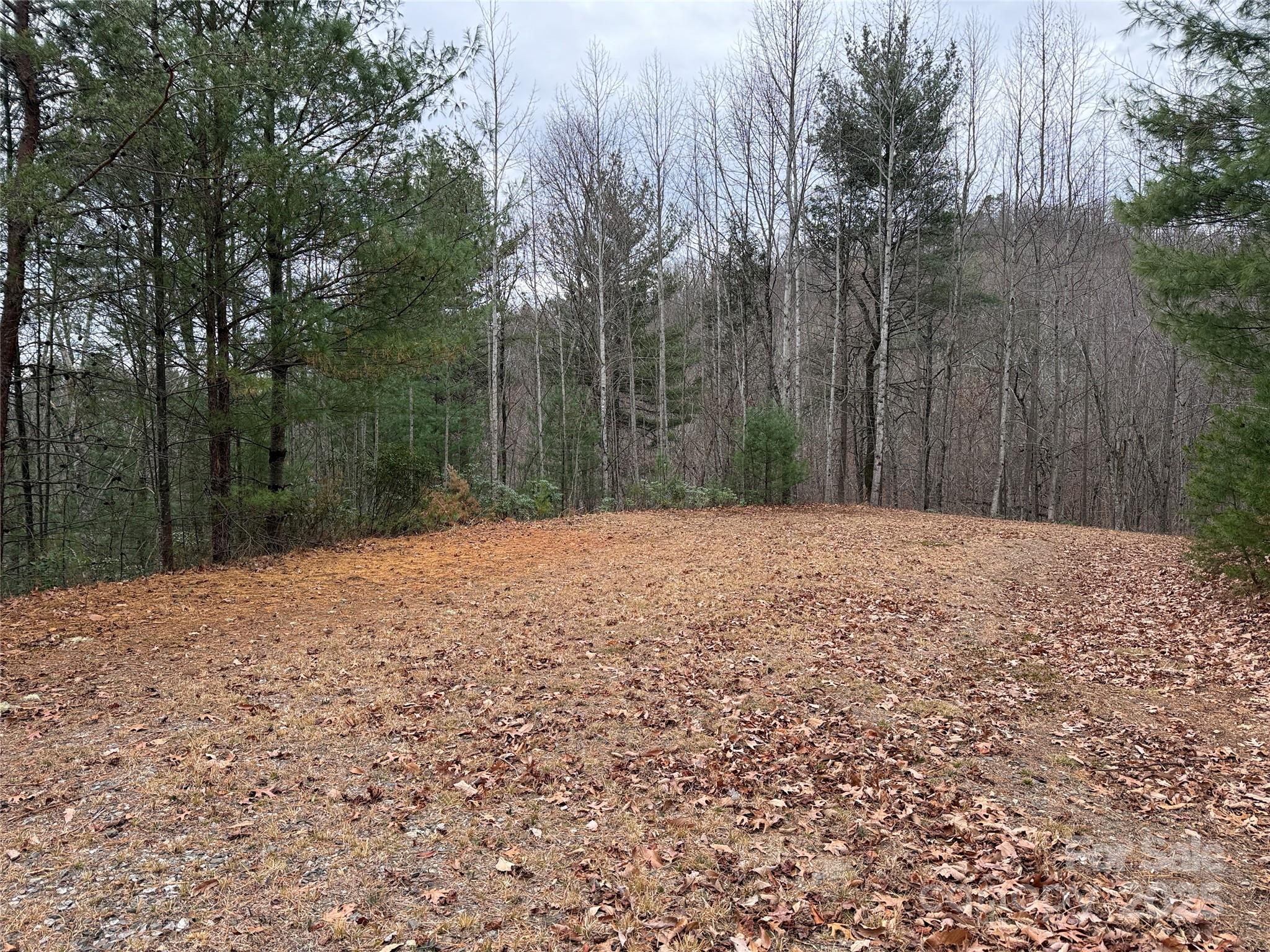 Tbd Casey Mountain Road 218 Property Photo 20