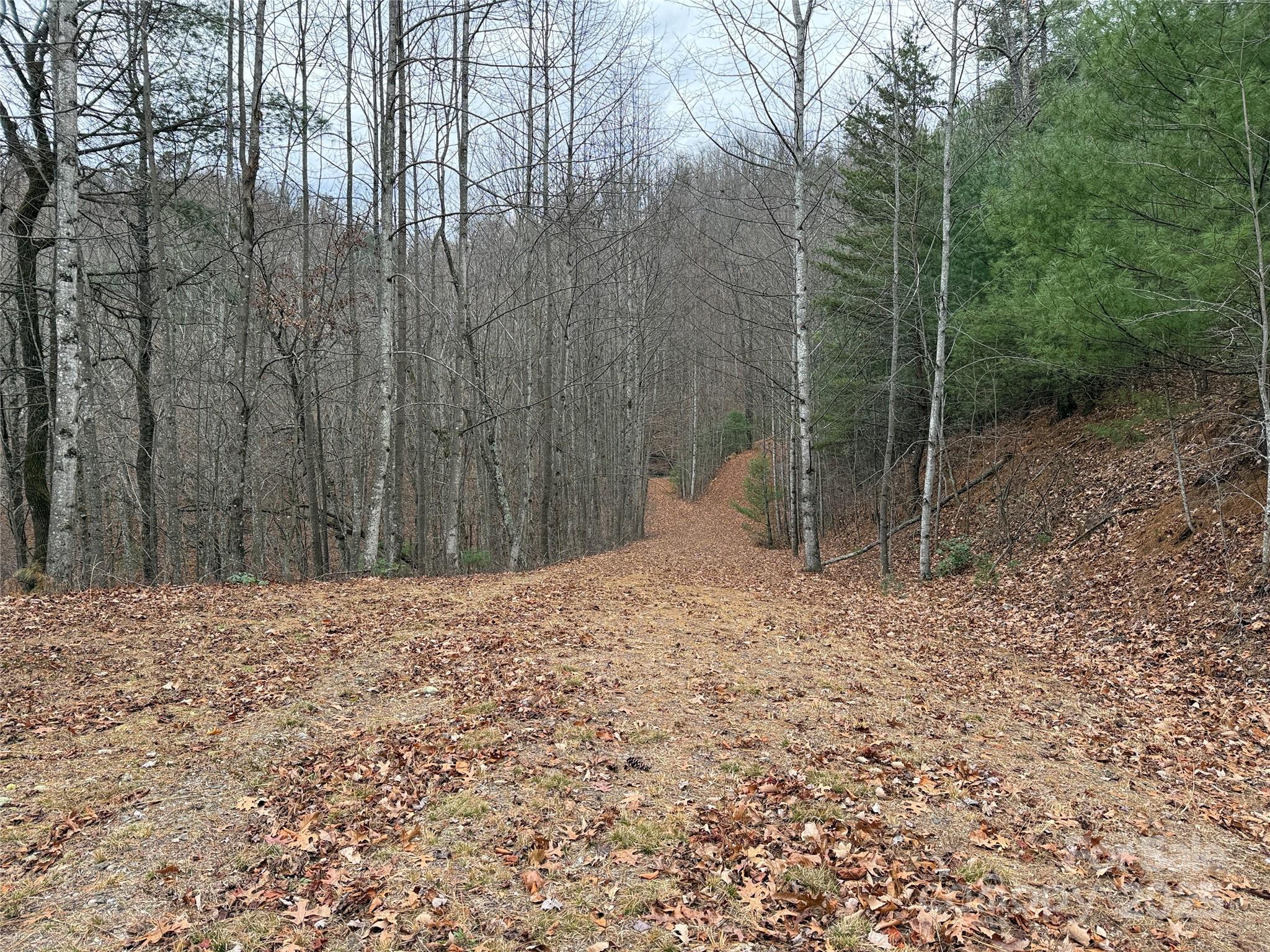 Tbd Casey Mountain Road 218 Property Photo 21