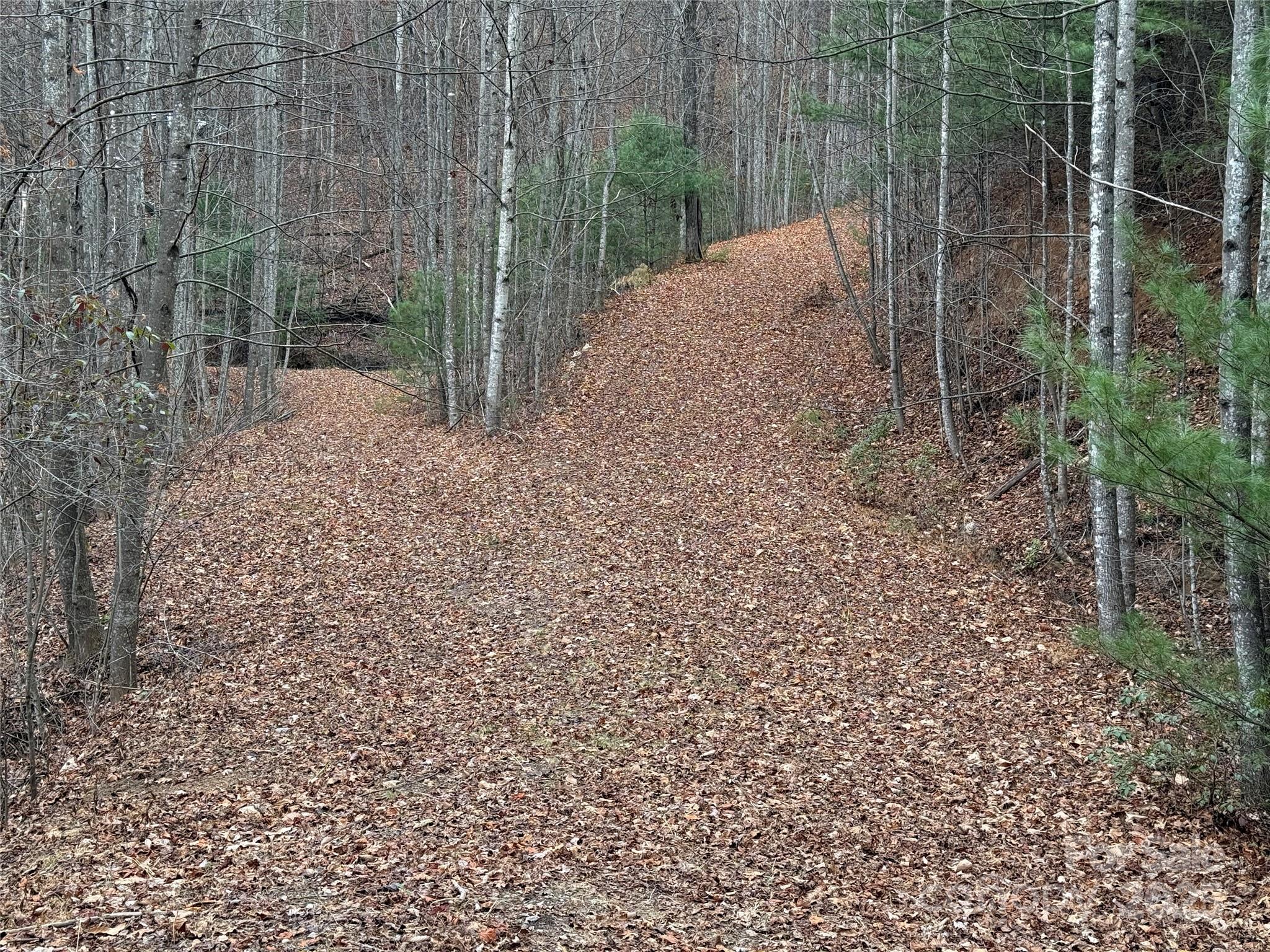 Tbd Casey Mountain Road 218 Property Photo 22