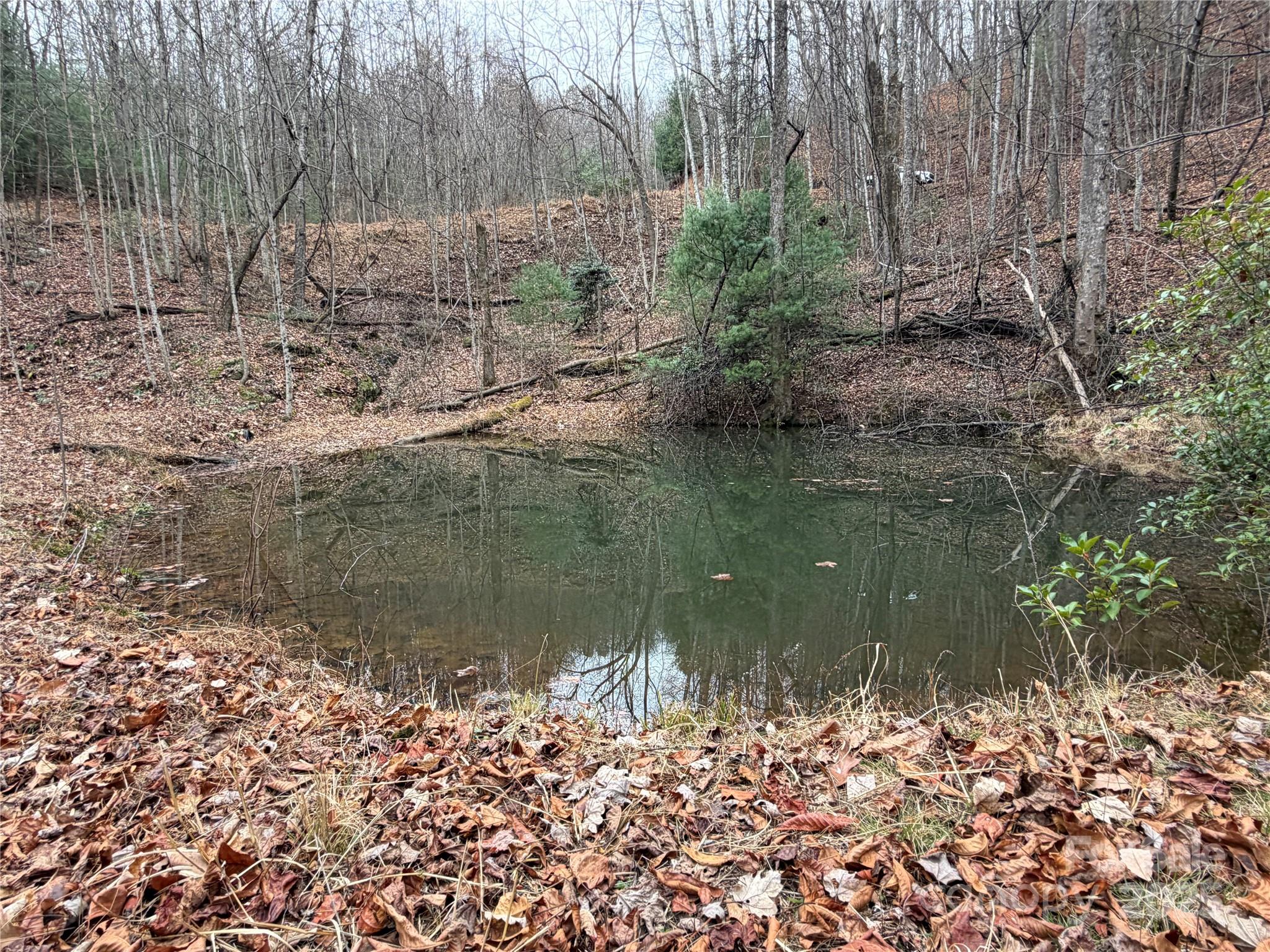 Tbd Casey Mountain Road 218 Property Photo 23