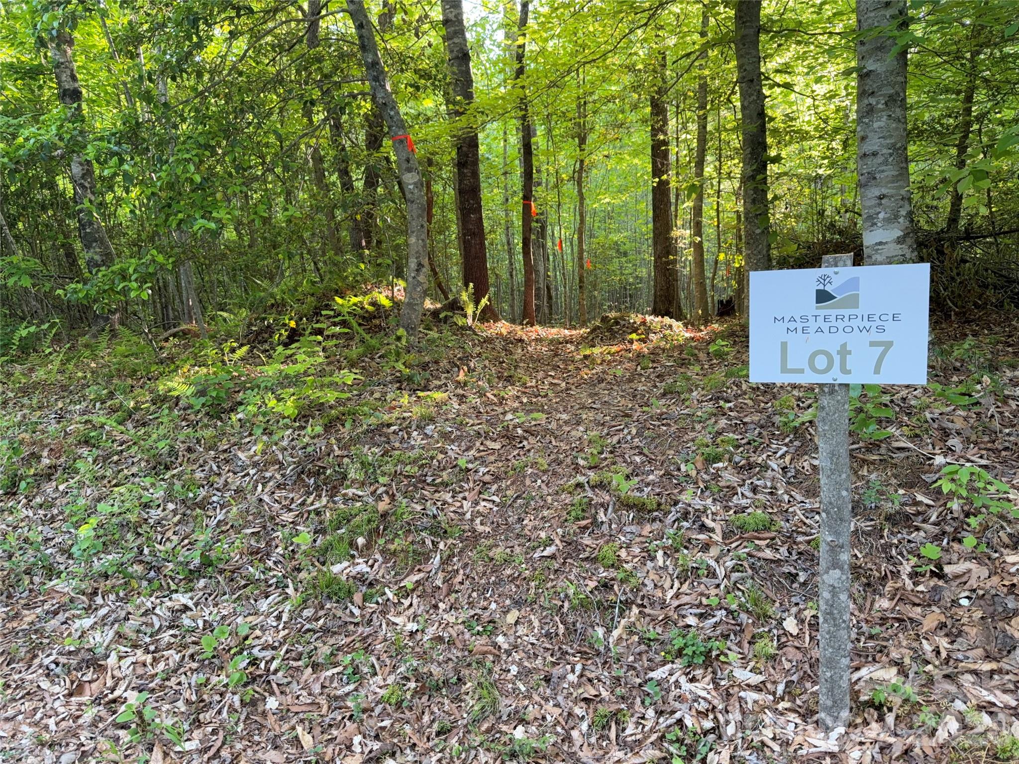 Lot # 7 West Legacy Drive 7 Property Photo 2