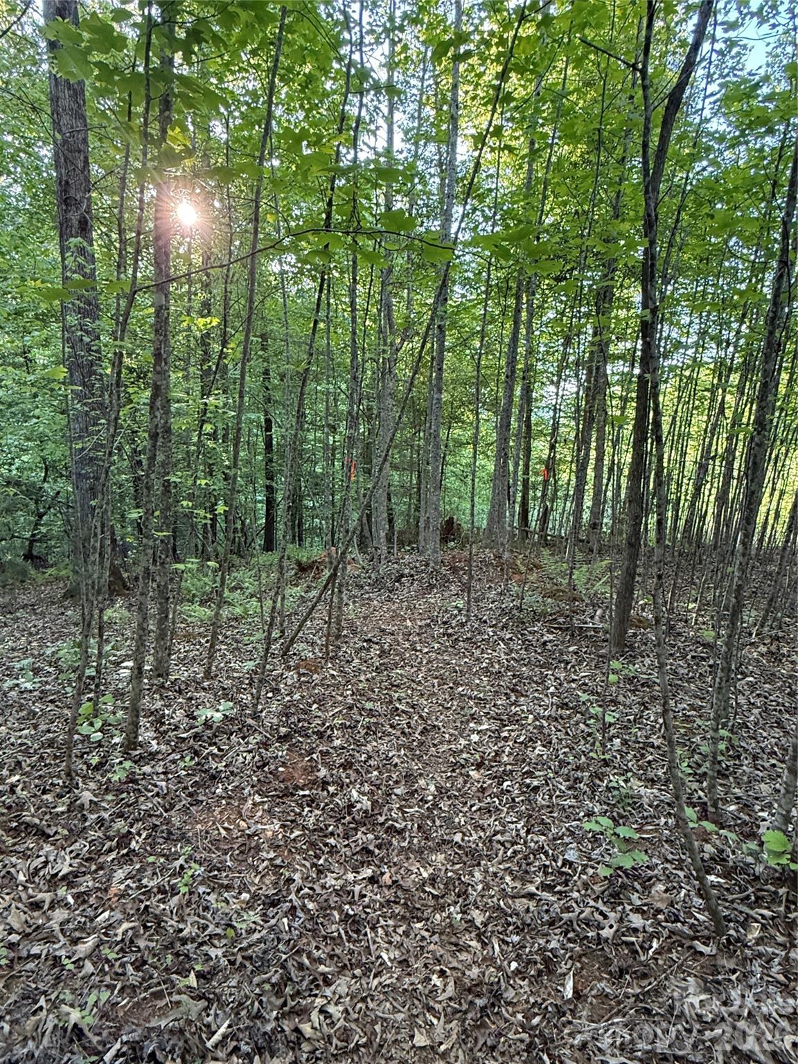 Lot # 7 West Legacy Drive 7 Property Photo 5