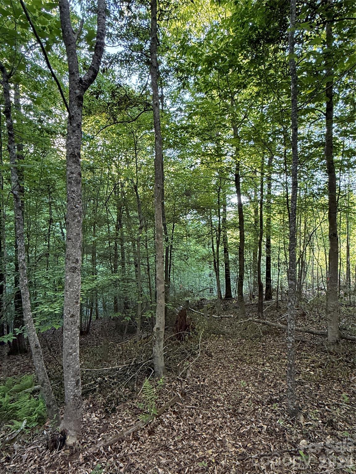 Lot # 7 West Legacy Drive 7 Property Photo 13