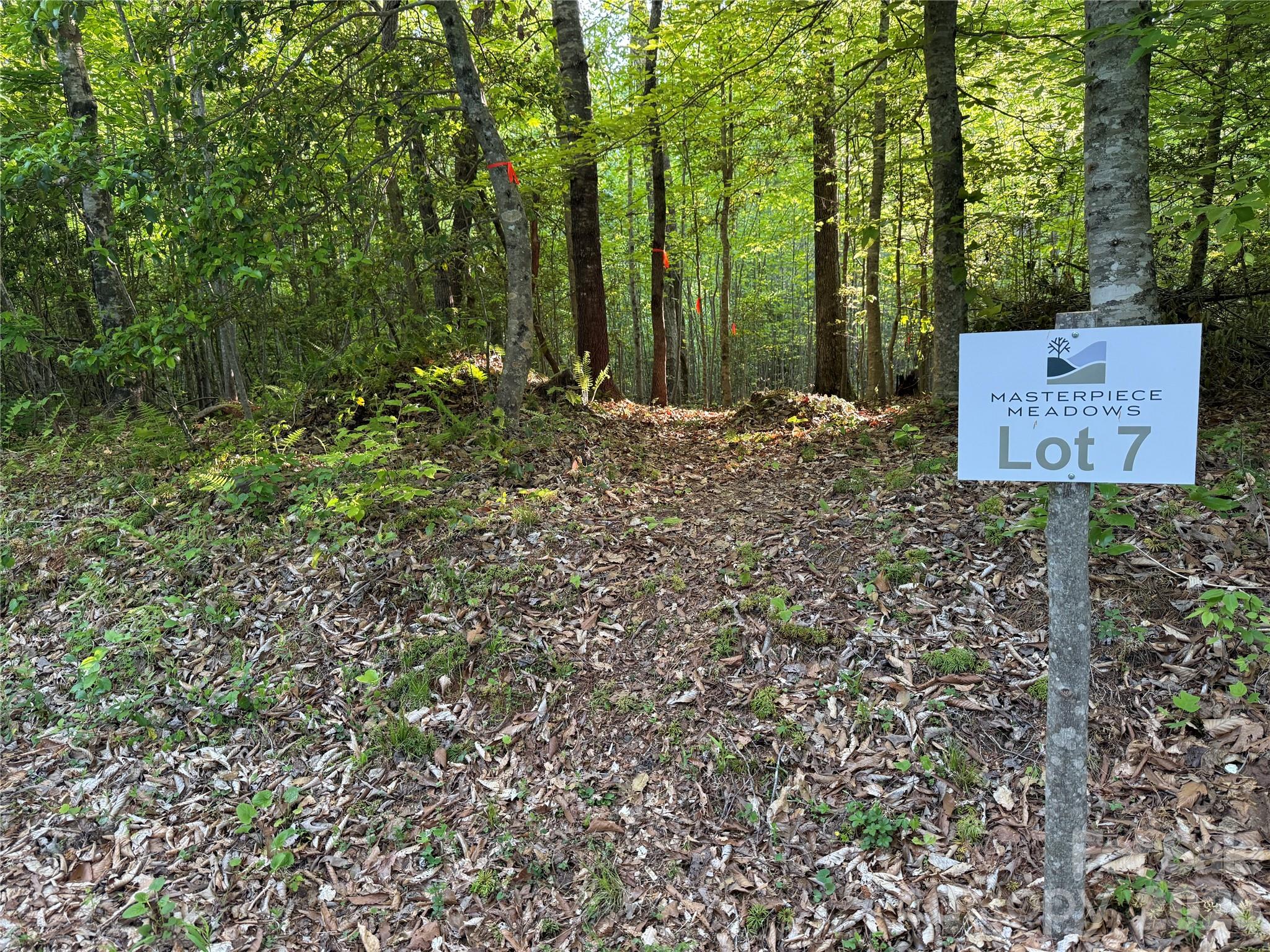 Lot # 7 West Legacy Drive 7 Property Photo 19